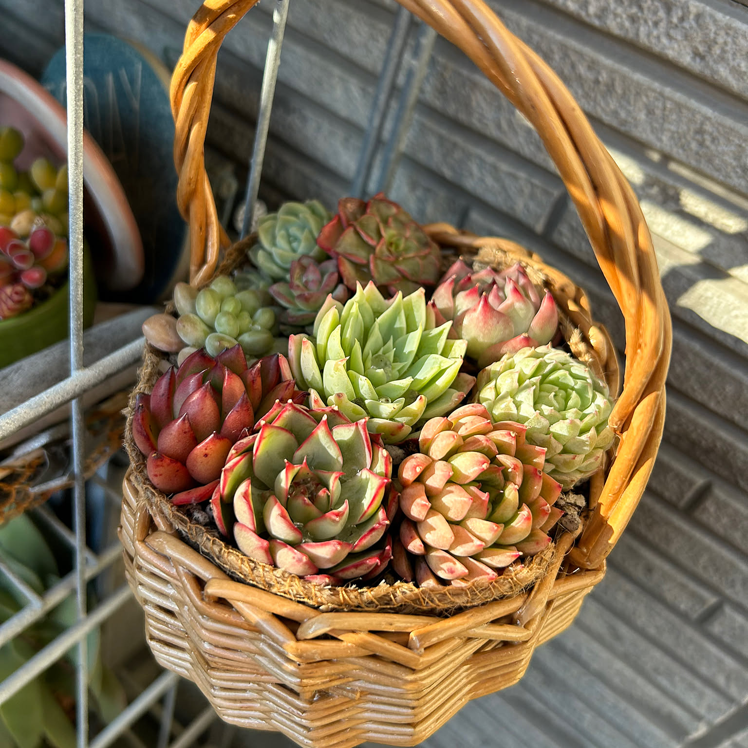 b68c31b0384dc2f129217efa77c898