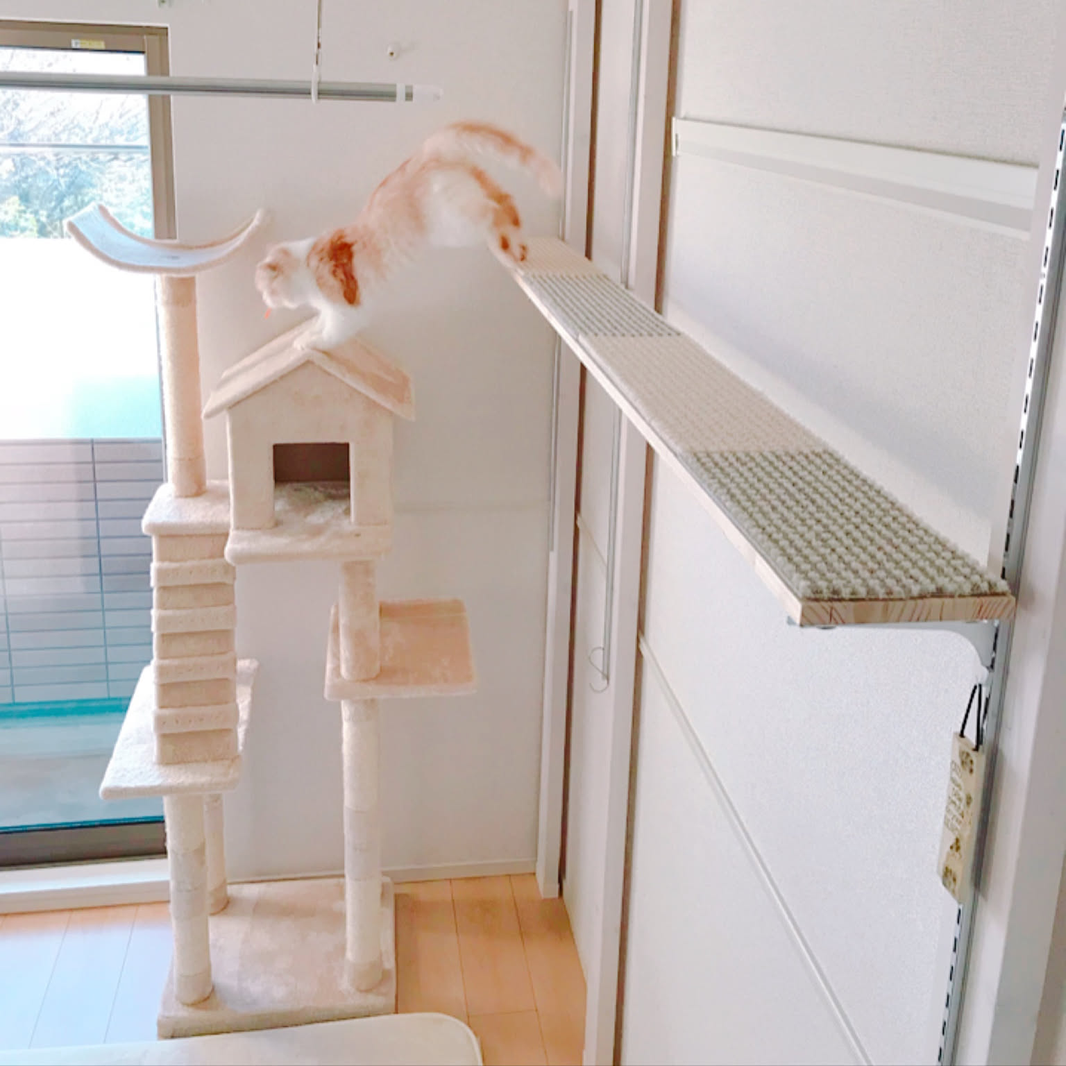 吸着カーペット/キャットタワー/ラブリコ 2×4/キャット
