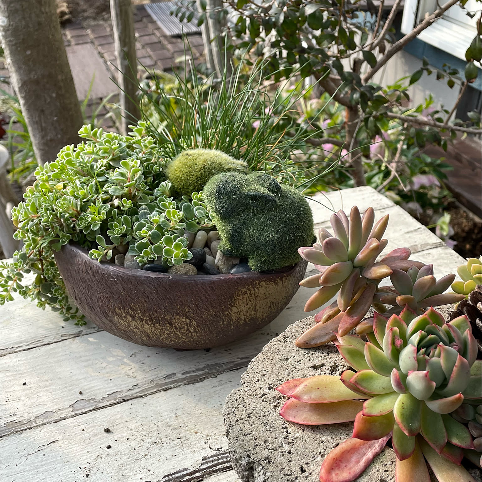 ハッピー・イースター』寄せ植え チューリップ イースターエッグ