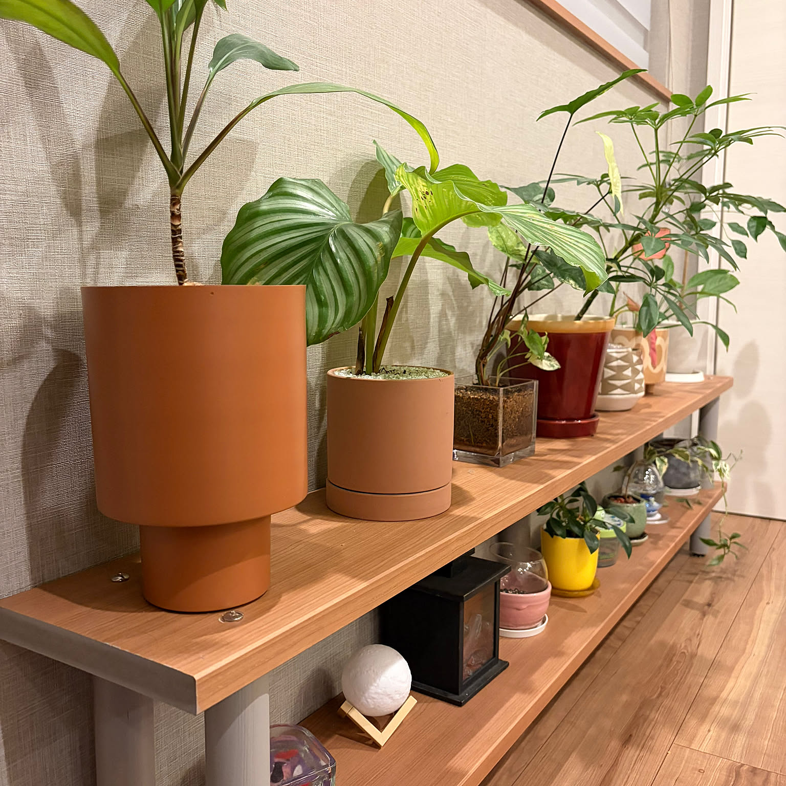 アクタス鉢カバーのおすすめ商品とおしゃれな実例 ｜ RoomClip（ルーム