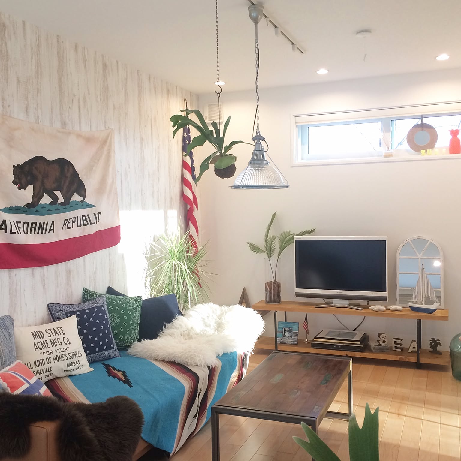 california23.jpg