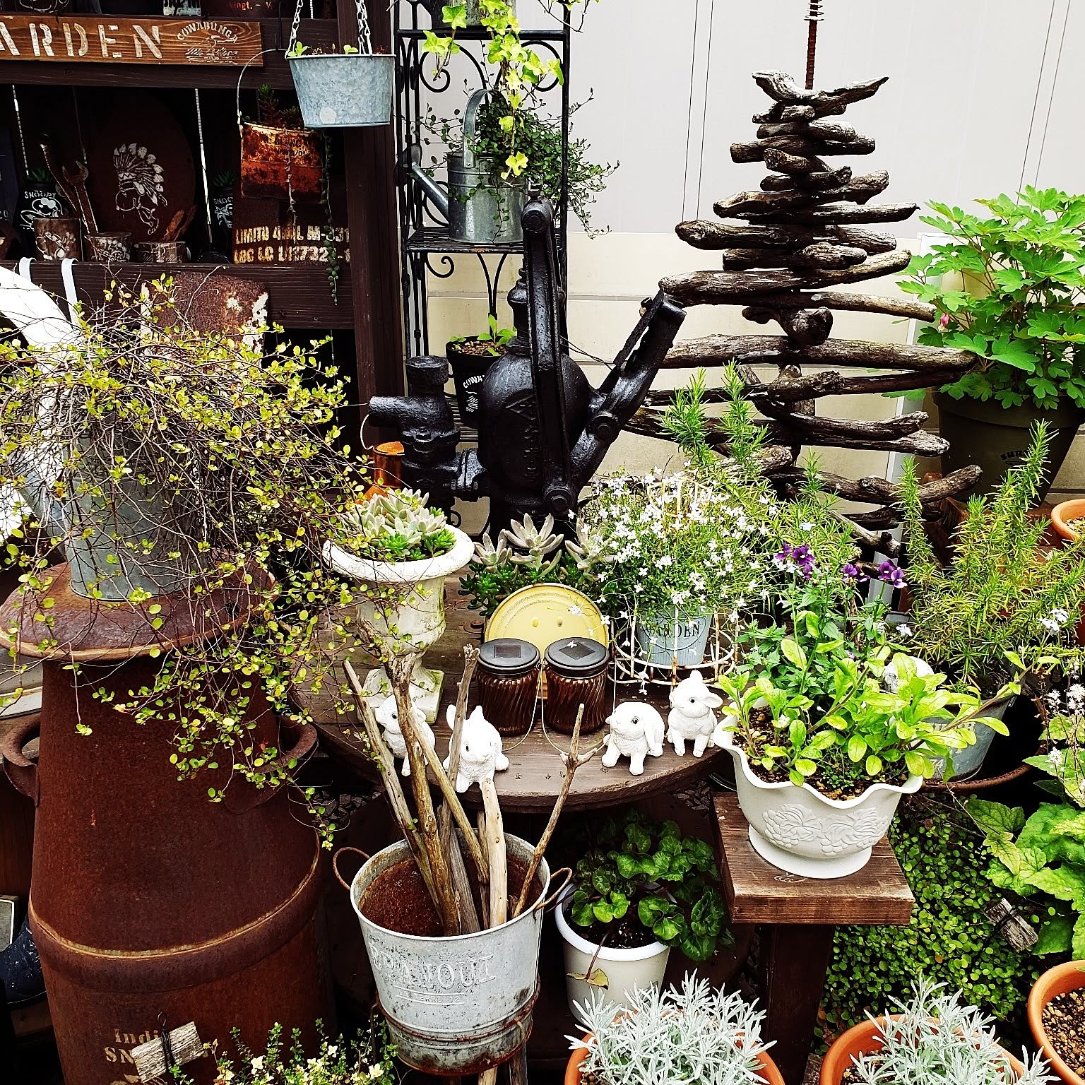 ジャンクガーデン 井戸ポンプのインテリア実例 ｜ RoomClip（ルーム