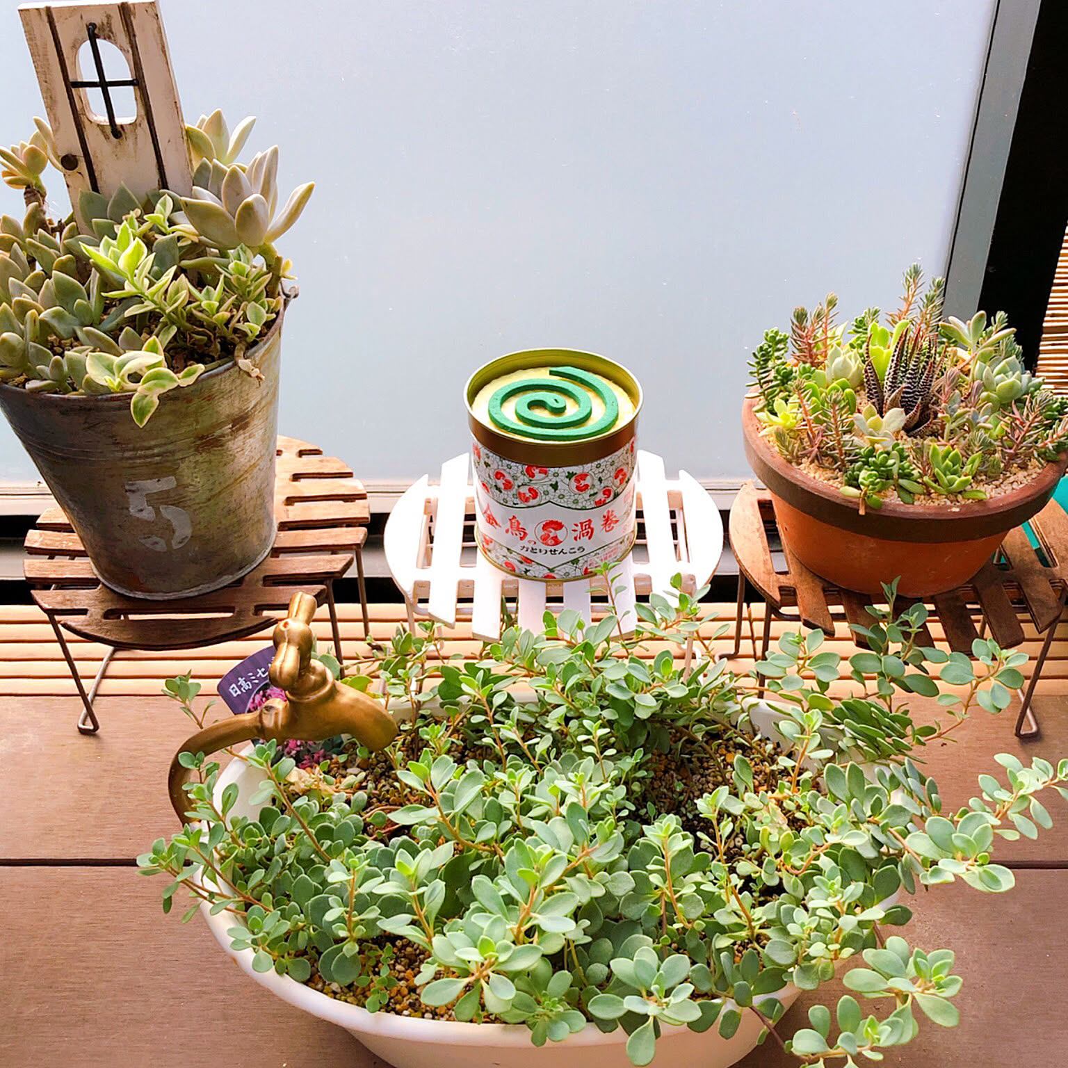 多肉植物の配置 フラワースタンド アースデザイン 多肉植物の配置