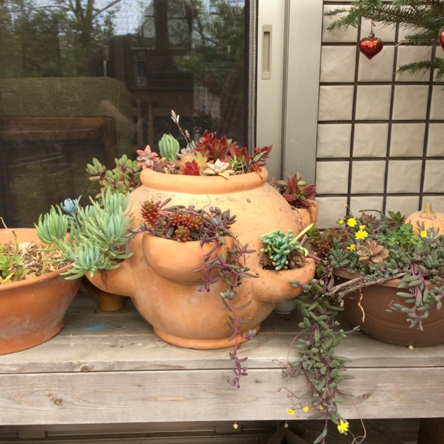 ヴィンテージ鉢ストロベリーポット寄せ植え イタリア製
