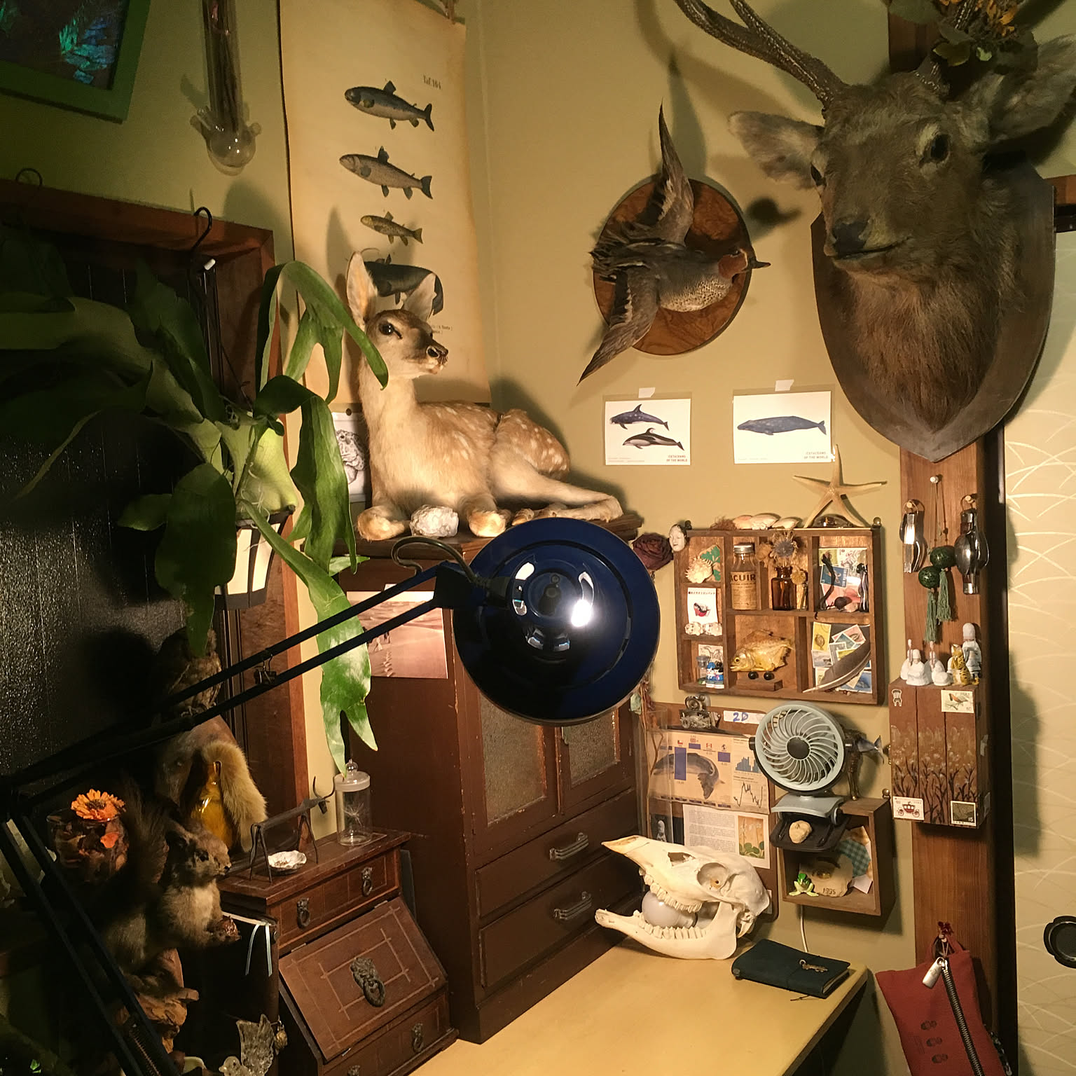 b985ce2668848eb55664c4aa8fa72b