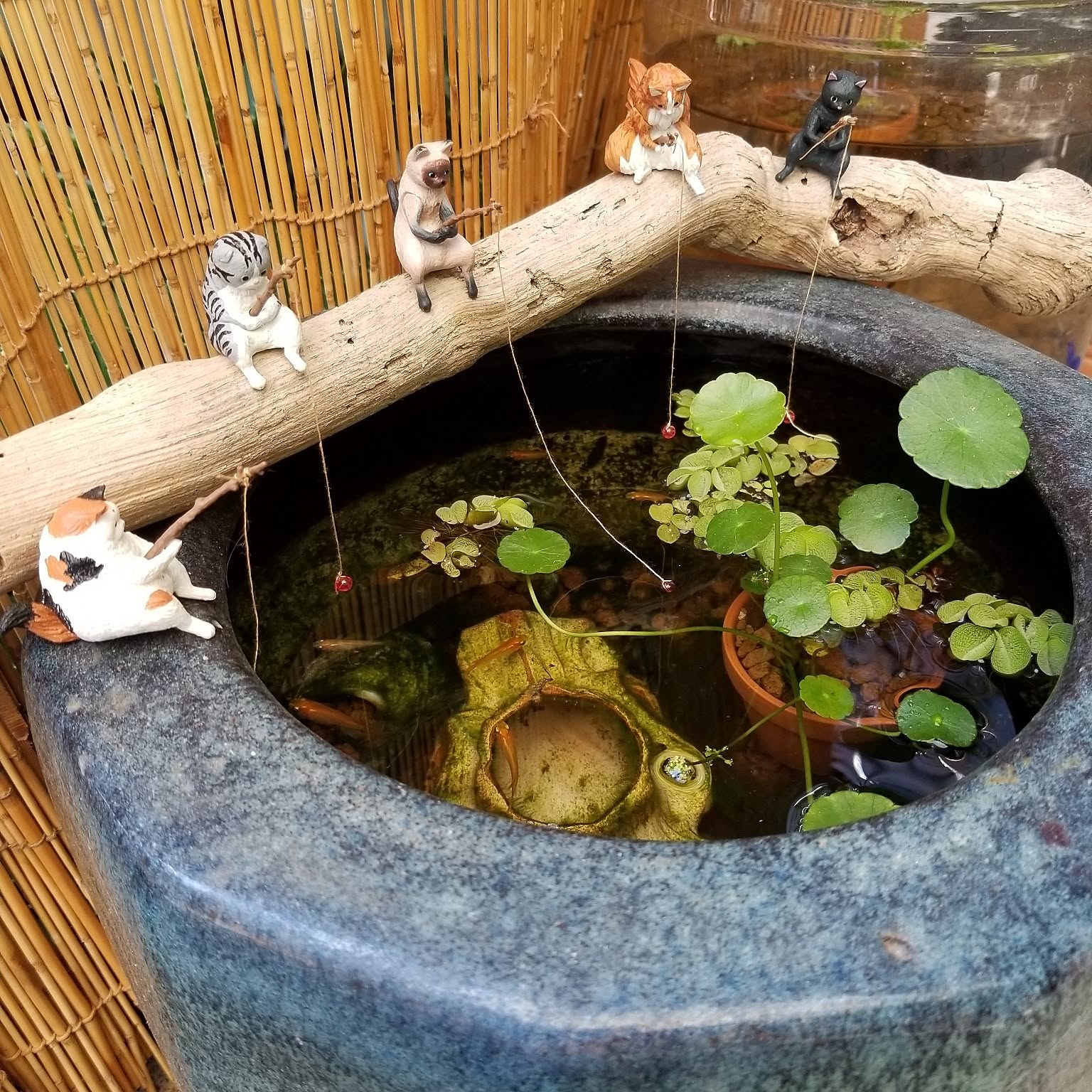 せな様確認用メダカ木枠