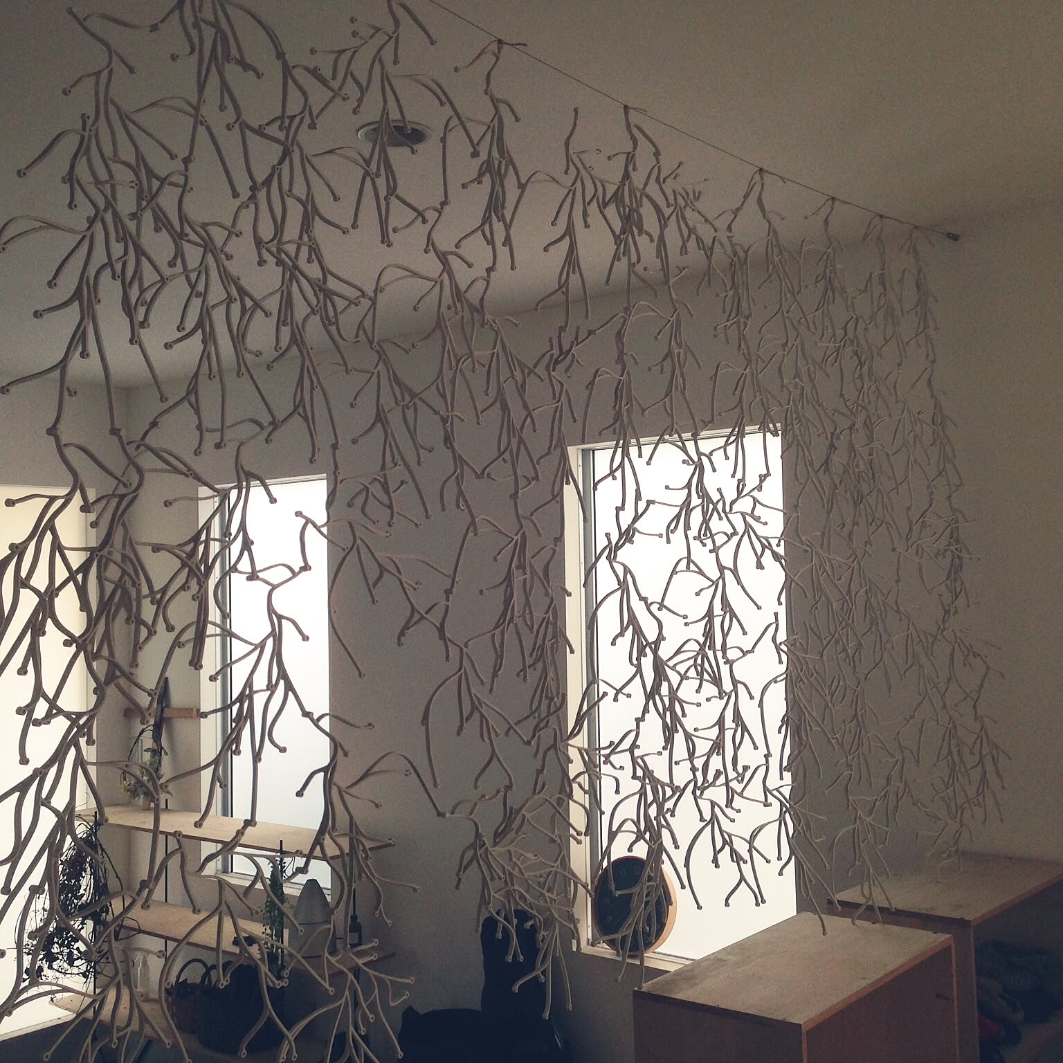 ba55d83caffc764c5e889ebd536a46