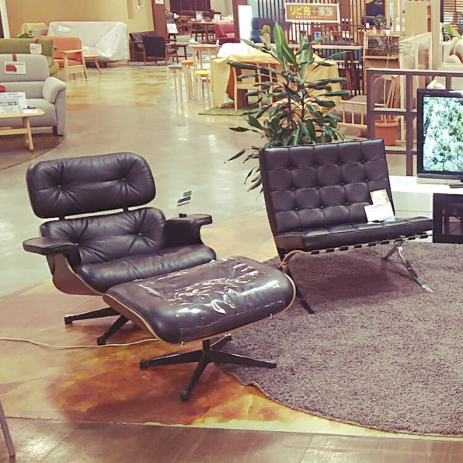 バルセロナチェア　モデルルーム使用品 バルセロナチェア/BARCELONA Chair