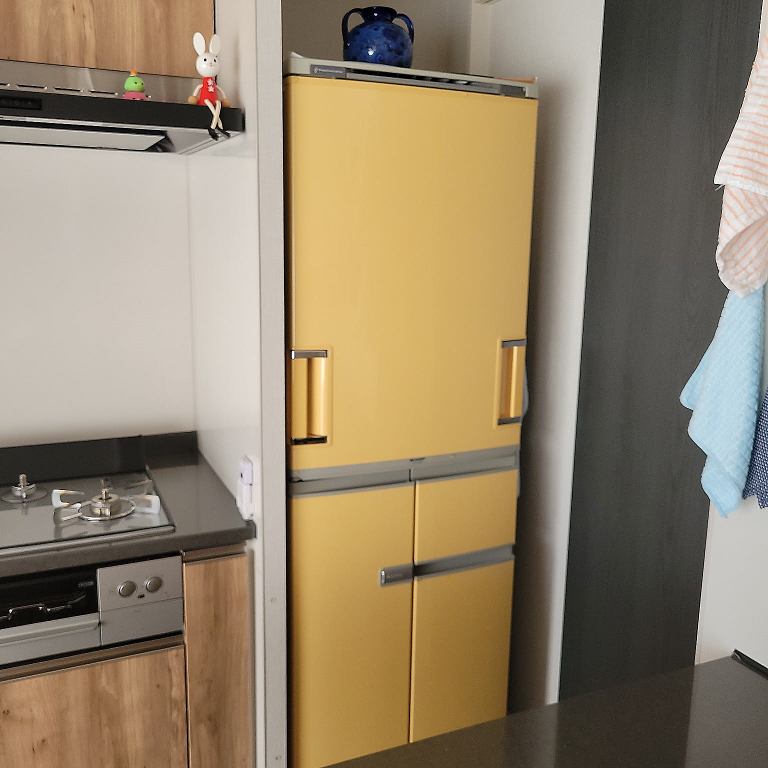 キッチン 黄色い冷蔵庫のおすすめ商品とおしゃれな実例 ｜ RoomClip