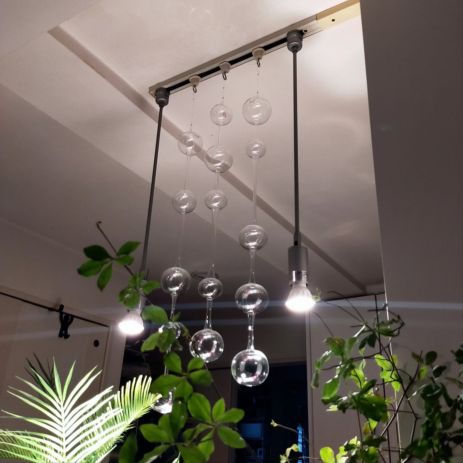 観葉植物/イッタラ/アテネの朝/ツピタンサス/ガラスモビールなどの