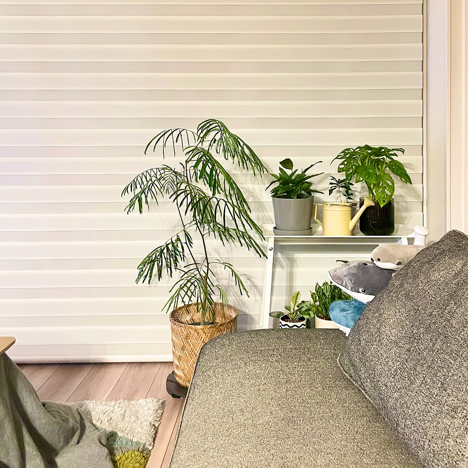 グリーンインテリア(エバーフレッシュ) 観葉植物 フェイクグリーン エバーフレッシュ Sサイズ(120cm) 鉢付き