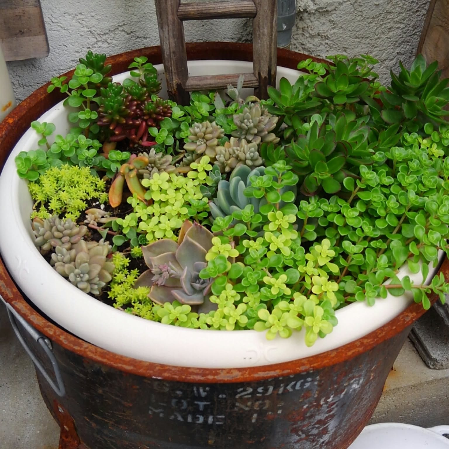 bdad9538c08f2f0ac36736ca3a30d6