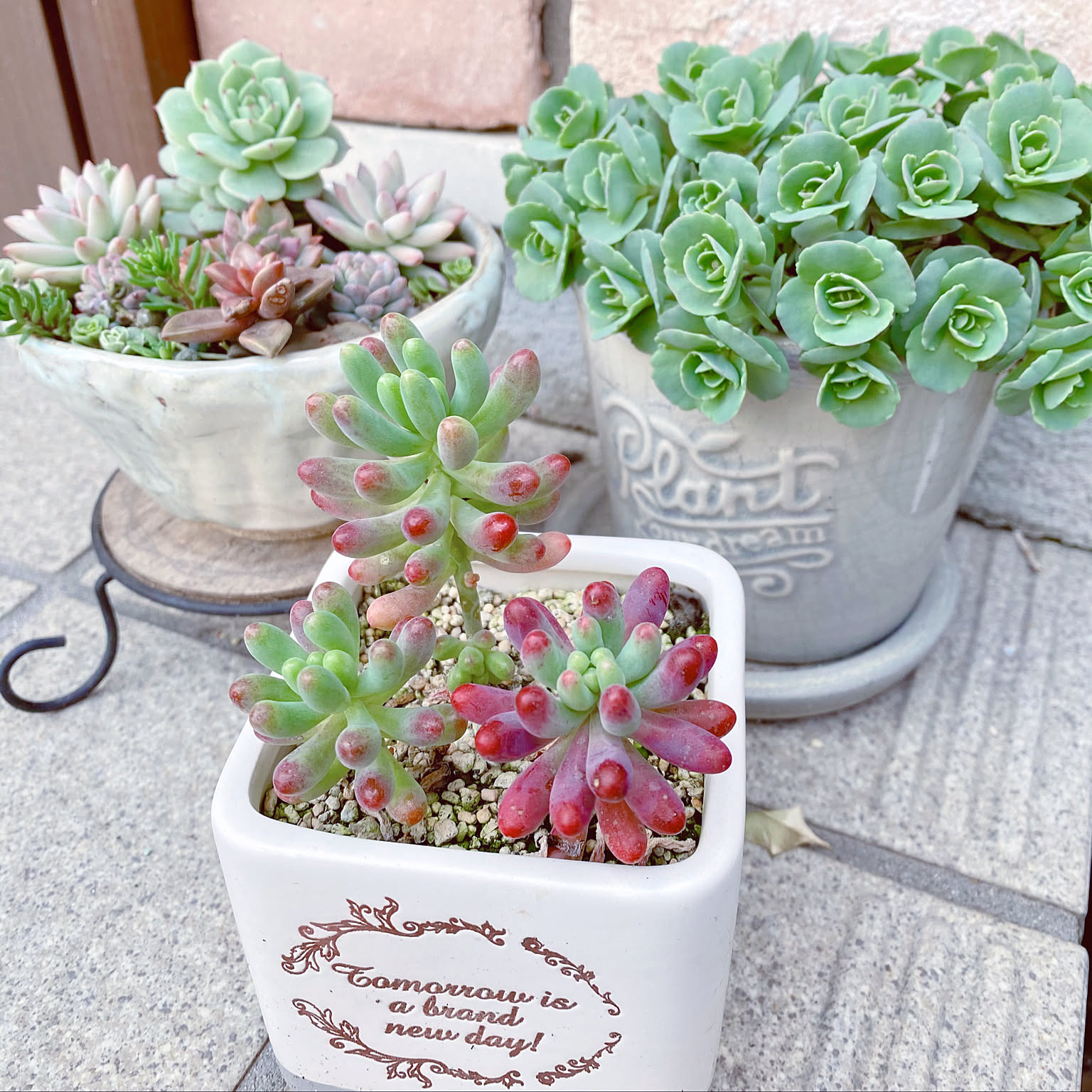 bdb8fb31de4703d2e0cd5f1ccd9fa9