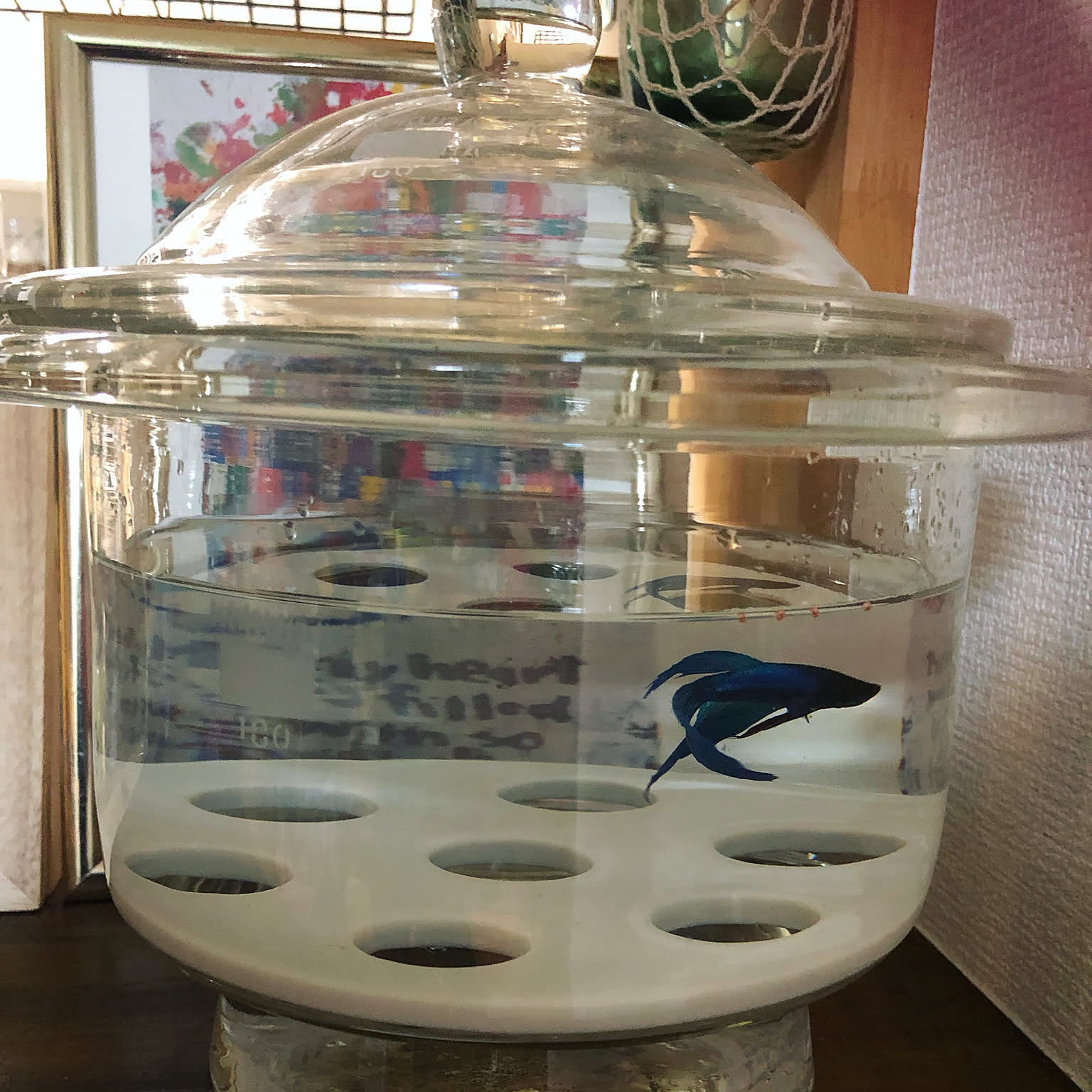 古道具ガラス　デシケーター 古道具ガラス デシケーター