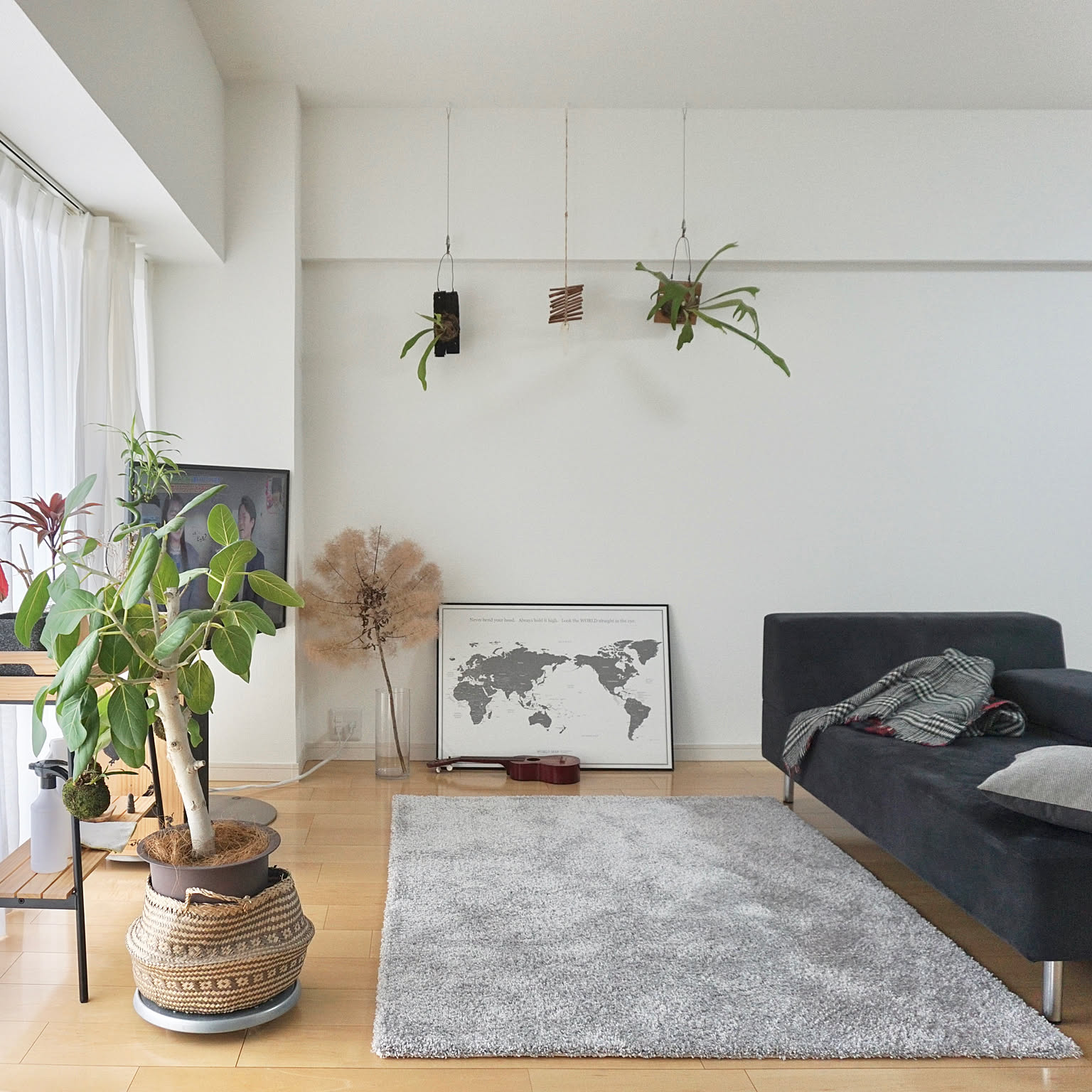 アクタス ラグのおすすめ商品とおしゃれな実例 ｜ RoomClip（ルーム