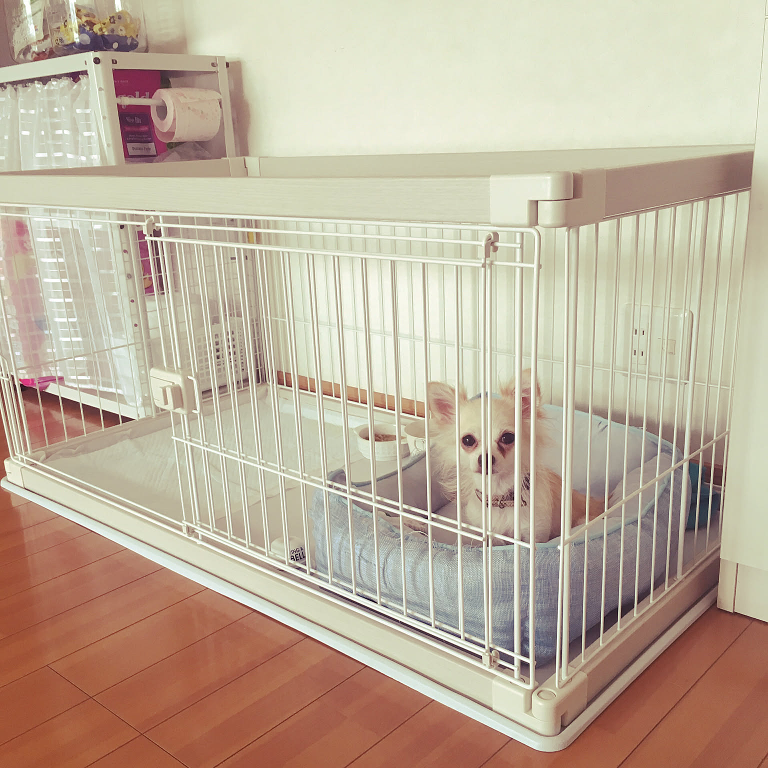 Y*♡様 THE ROOM(ペットサークル) シルバー THE ROOM(ペットサークル) シルバー : MyStyleペットストア