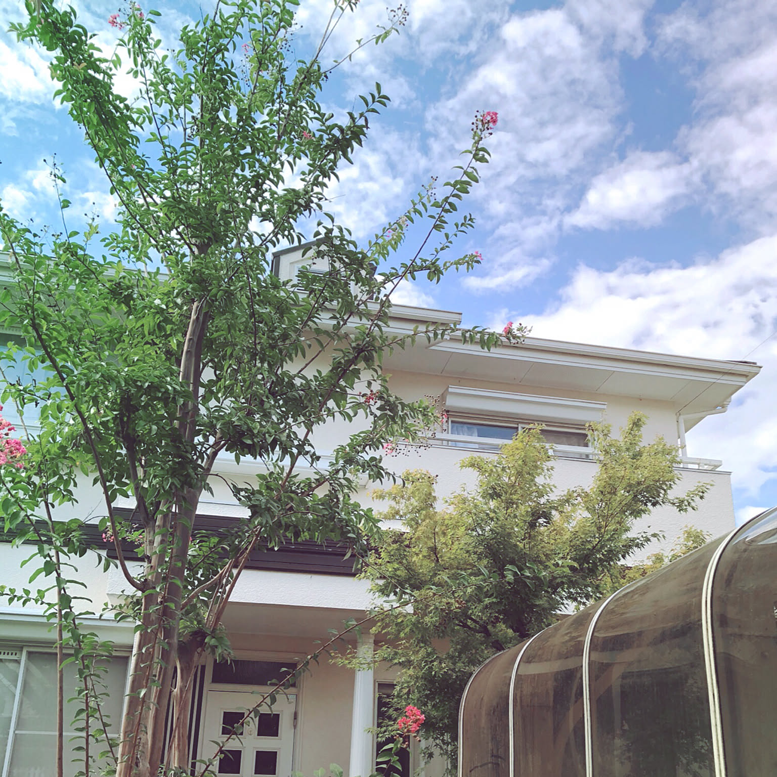 玄関/入り口 サルスベリの木のインテリア実例 ｜ RoomClip