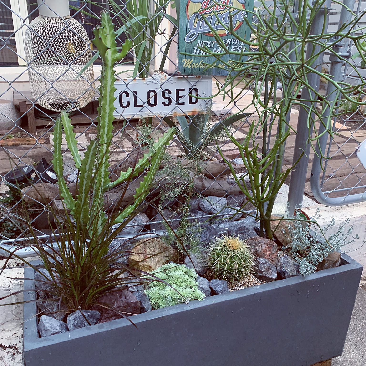 bfded43a921855dc5d1bf00626dd0e