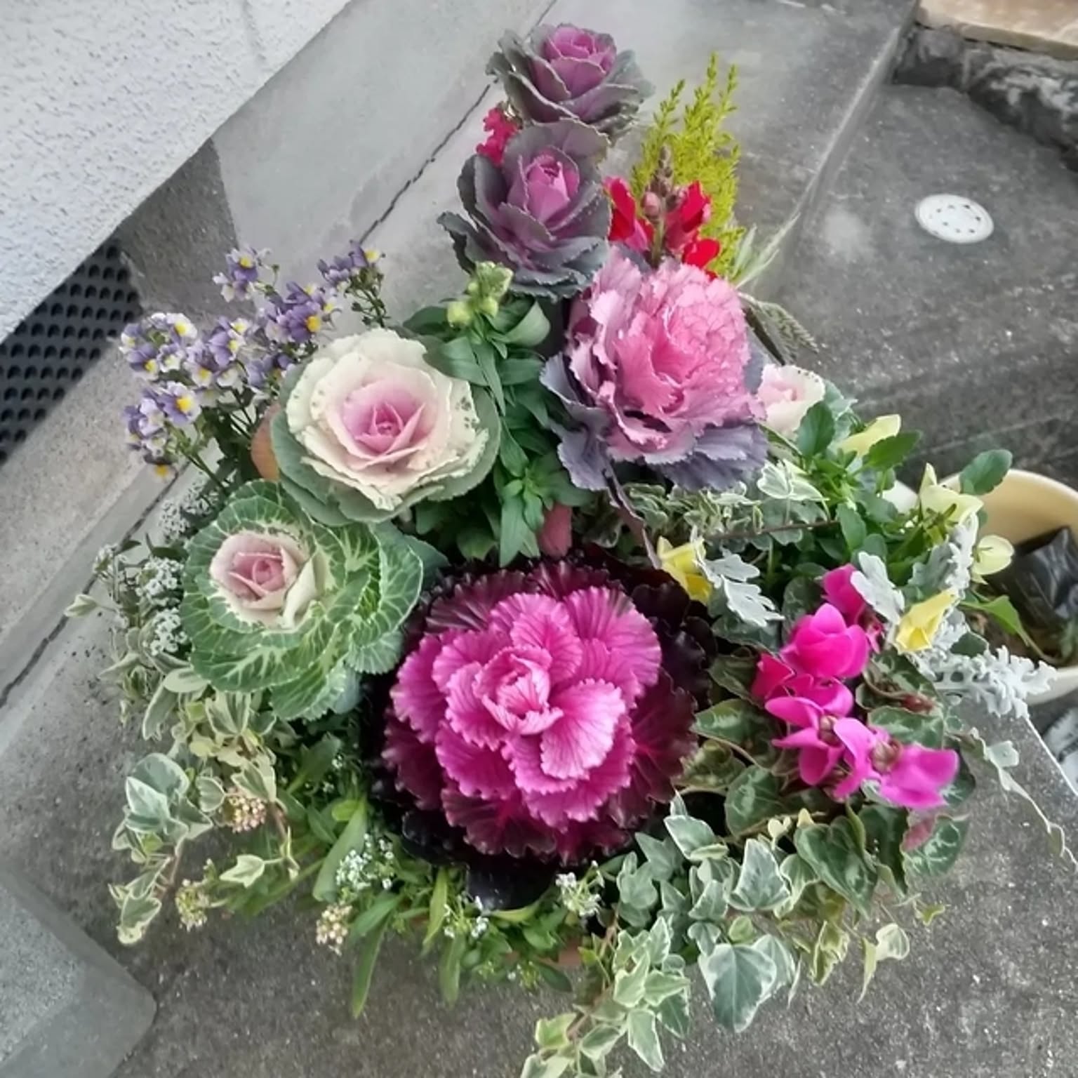 sweetbasket 葉牡丹とシクラメン 季節のお花 寄せ植え 売り切れ