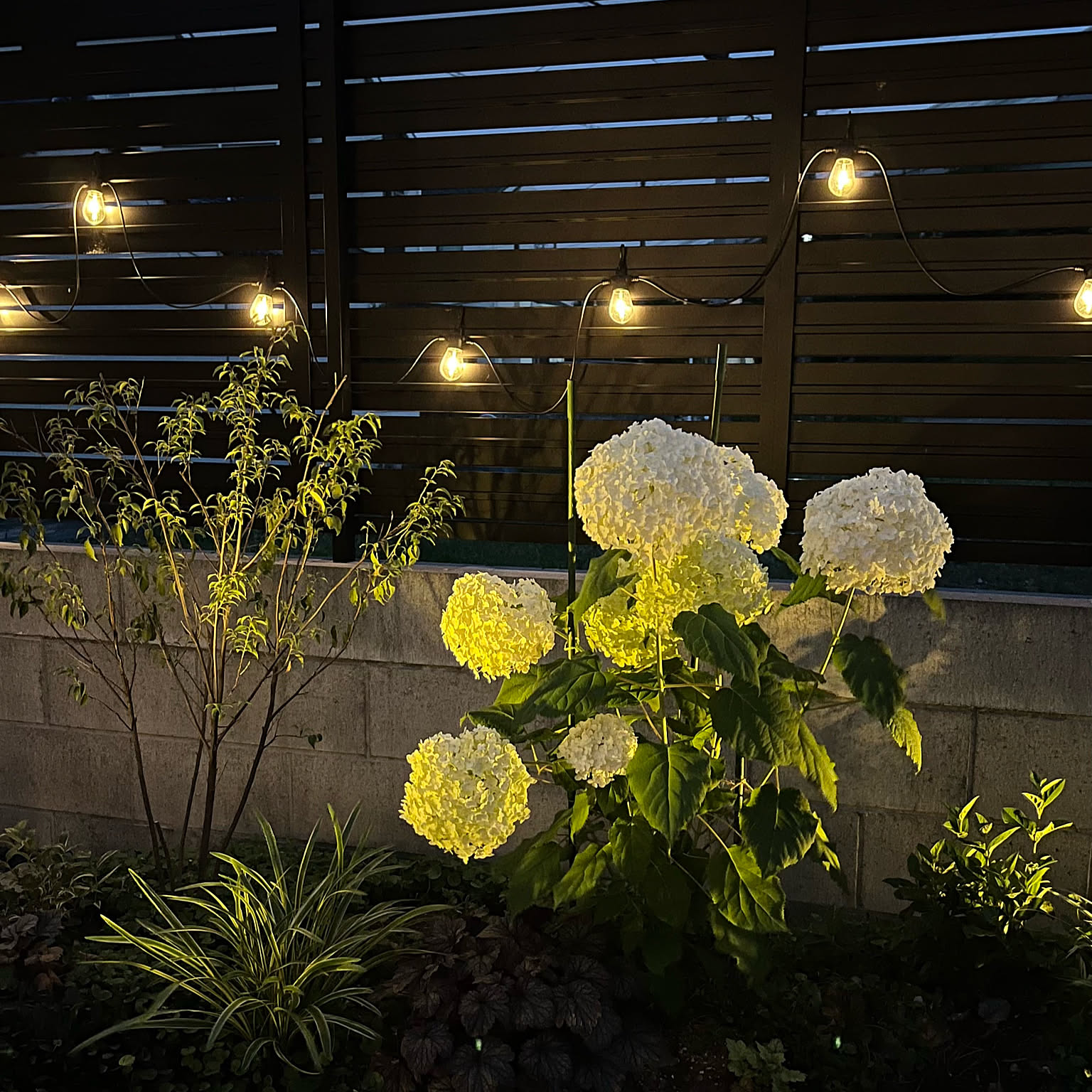 c1125731023f74997cf4f0d665d545