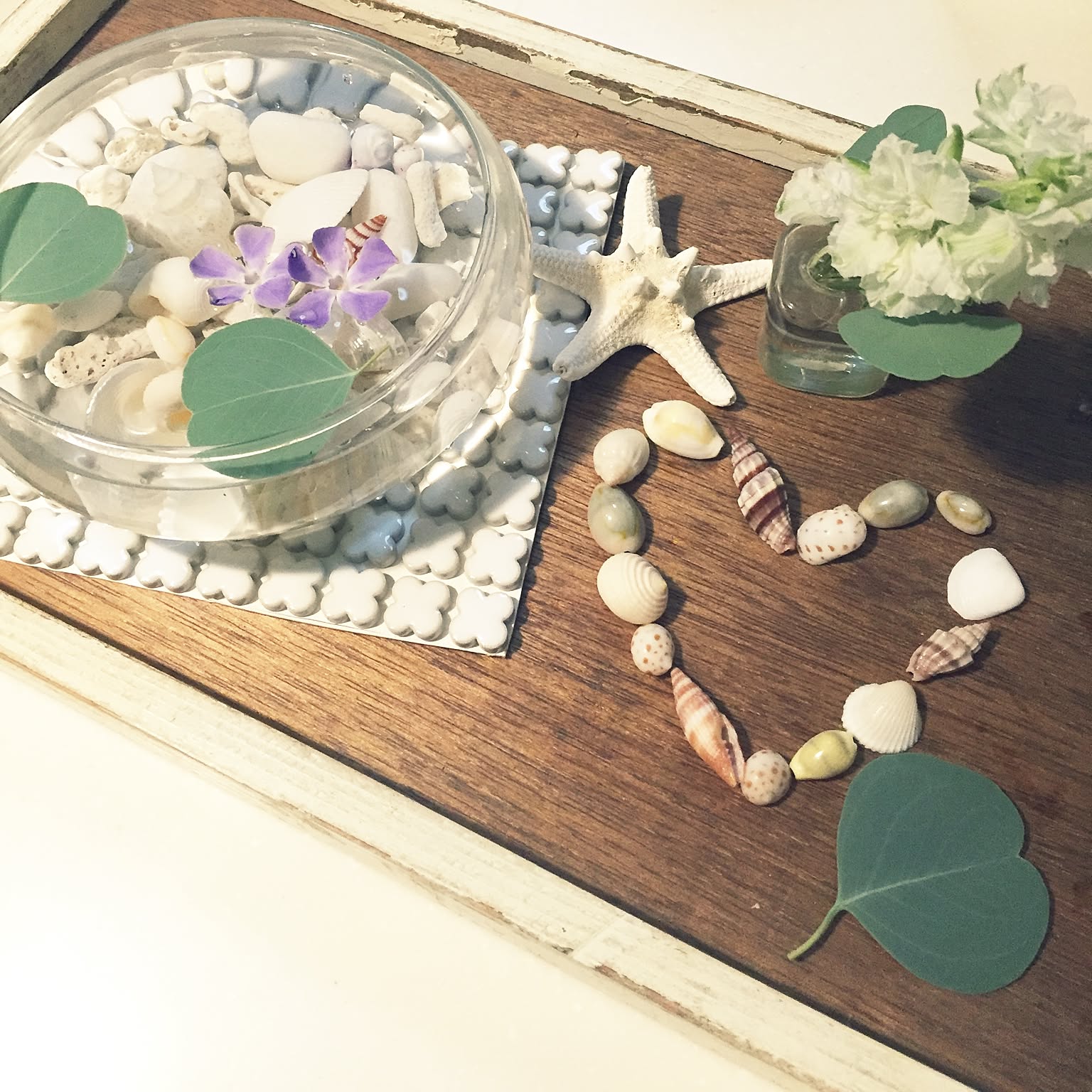 貝殻 珊瑚のかけらのおしゃれなアレンジ・飾り方のインテリア実例