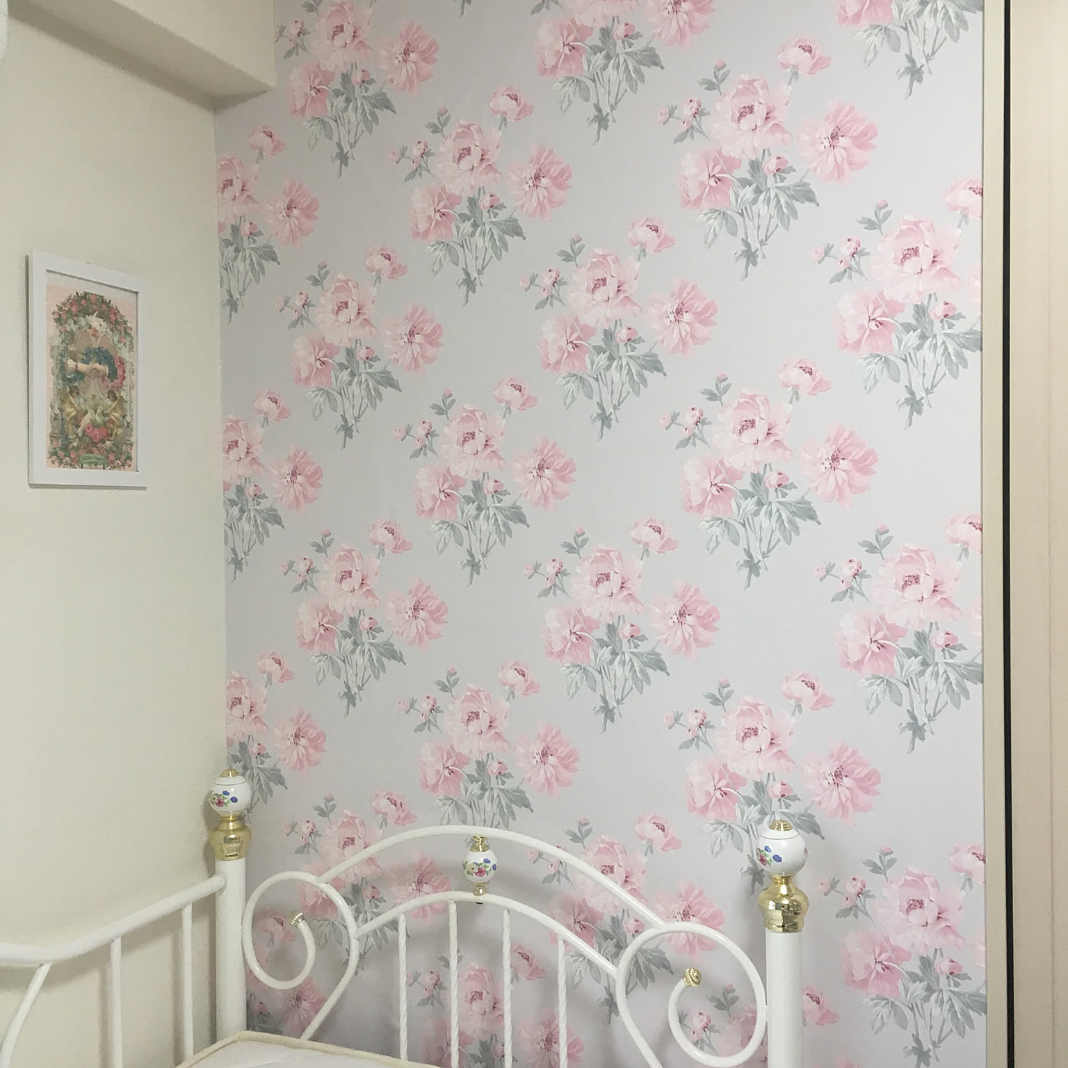 ダリアパレードピンクグレープフルーツ 壁紙 ローラアシュレイ ダリアパレードピンクグレープフルーツ 壁紙 ローラアシュレイ 植物柄