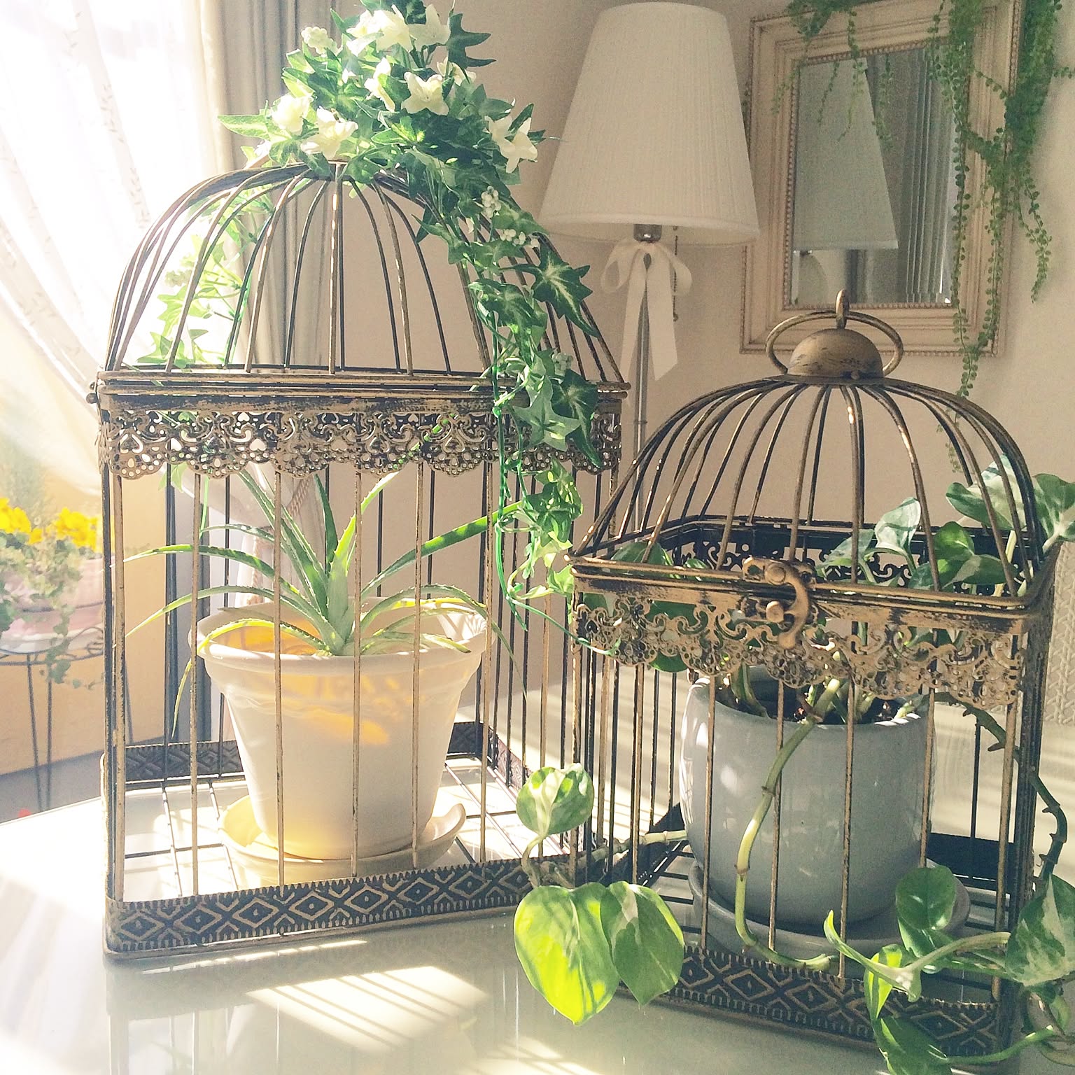 c2d0c26bca9231e96bf5b2008026c9