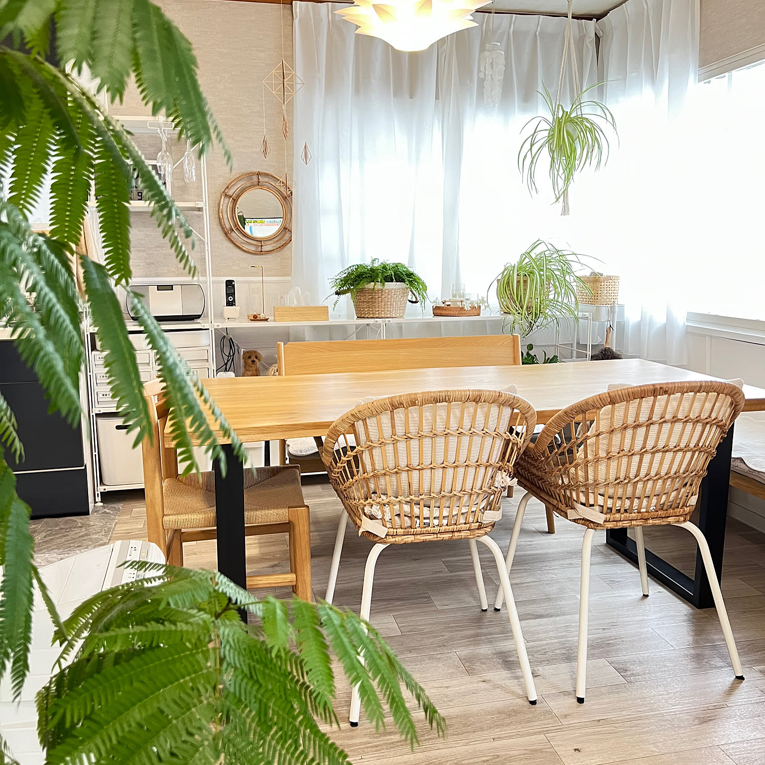 専用クッション付き★IKEA GREGOR イケア ペーパーコードチェア IKEA ペーパーコードチェアのおすすめ商品とおしゃれな実例