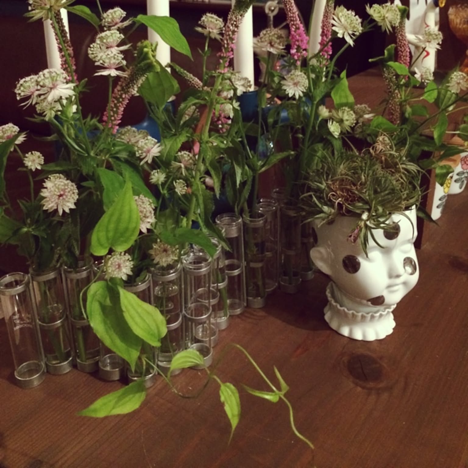 ツェツェ アソシエ 四月の花器のインテリア実例 ｜ RoomClip（ルーム