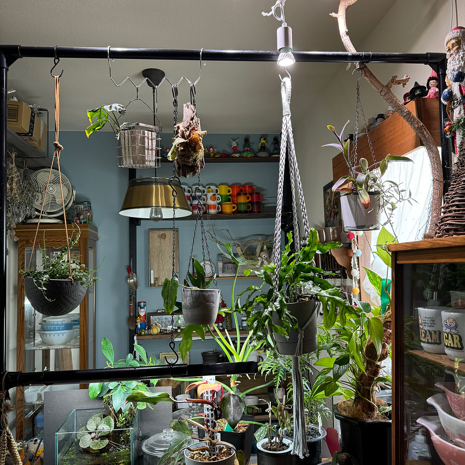 ダクトレール 植物育成ライトのおすすめ商品とおしゃれな実例 ダクトレール 植物育成ライトのおすすめ商品とおしゃれな実例