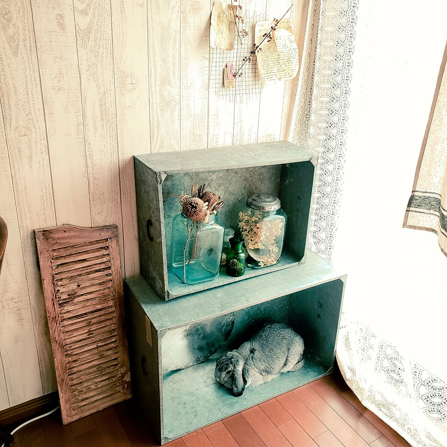 c477f50dc53df11ffdff133550aba0