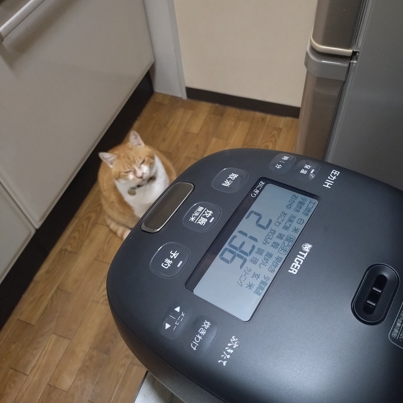 A black Tiger JRI-C060 small rice cooker with its control panel visible.