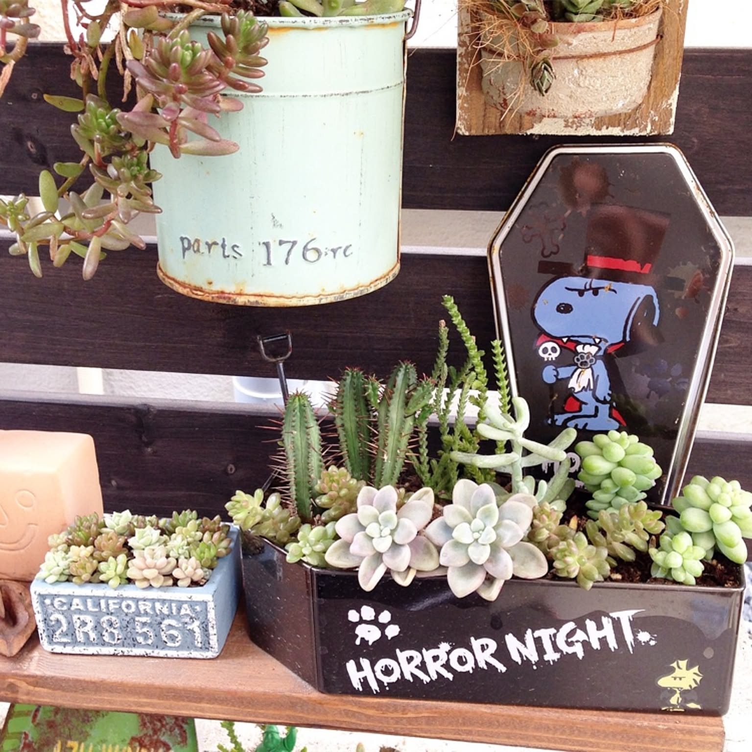 c49fc94c8455461519a9cd5ed1de57  