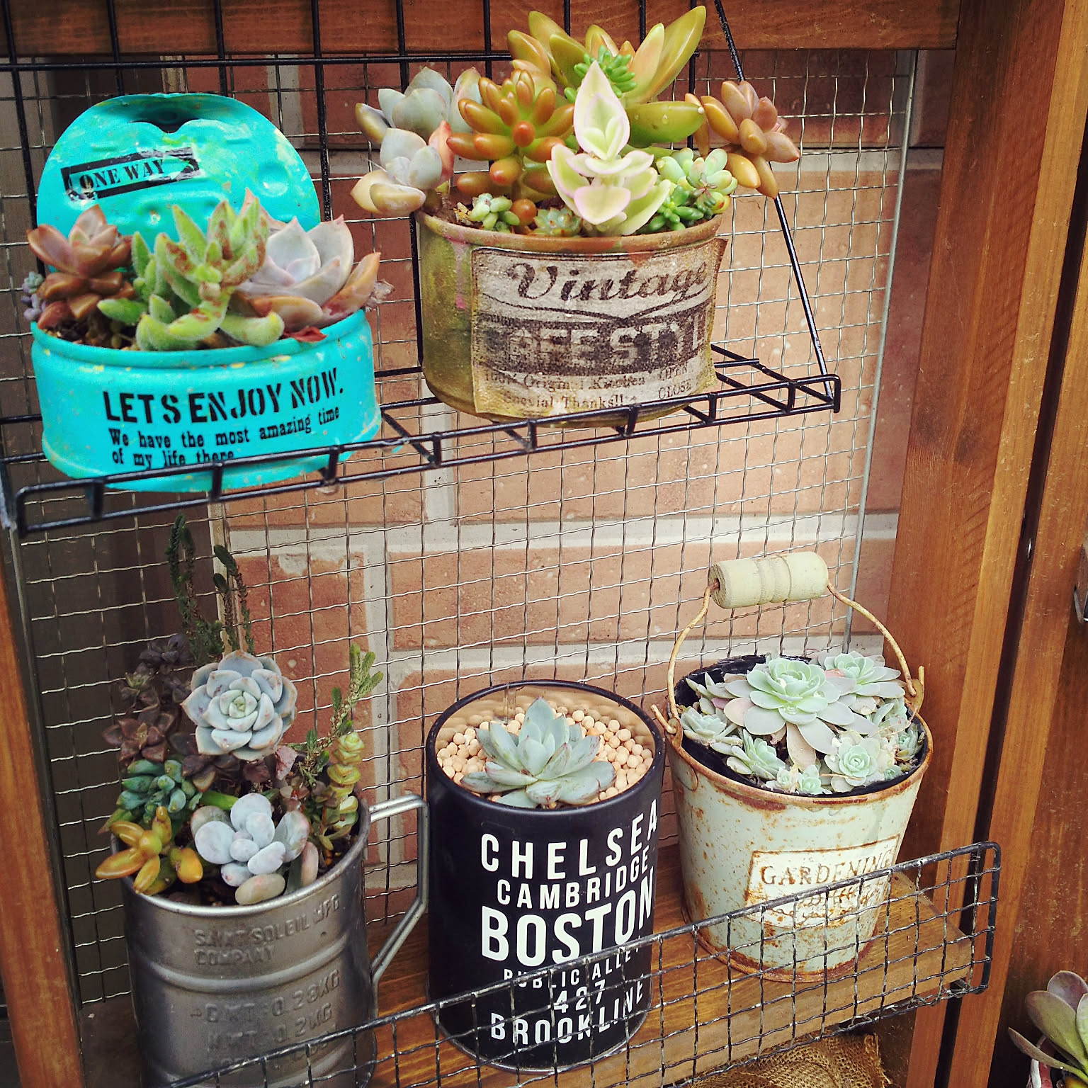 43.（ツナ缶5個）リメイク缶　リメ缶　プランター　ガーデニング Amazon.co.jp: ツナ缶 リメ缶 リメイク缶 リメイク鉢 多肉植物