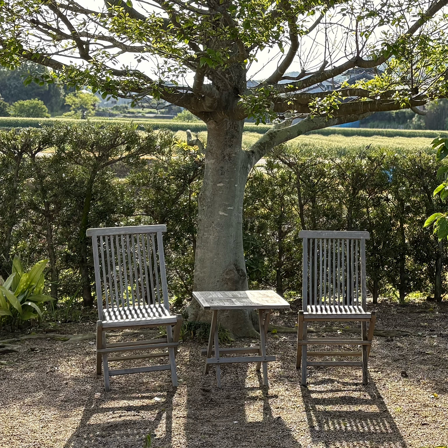 c6b755a1a65eb55e79cfacc9c2110b