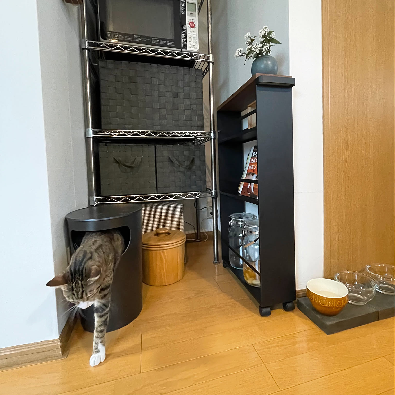 スチールラック 猫と暮らすのおすすめ商品とおしゃれな実例
