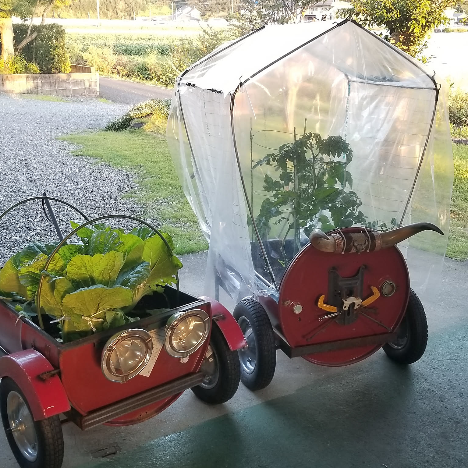 ドラム缶プランターのおすすめ商品とおしゃれな実例 ｜ RoomClip