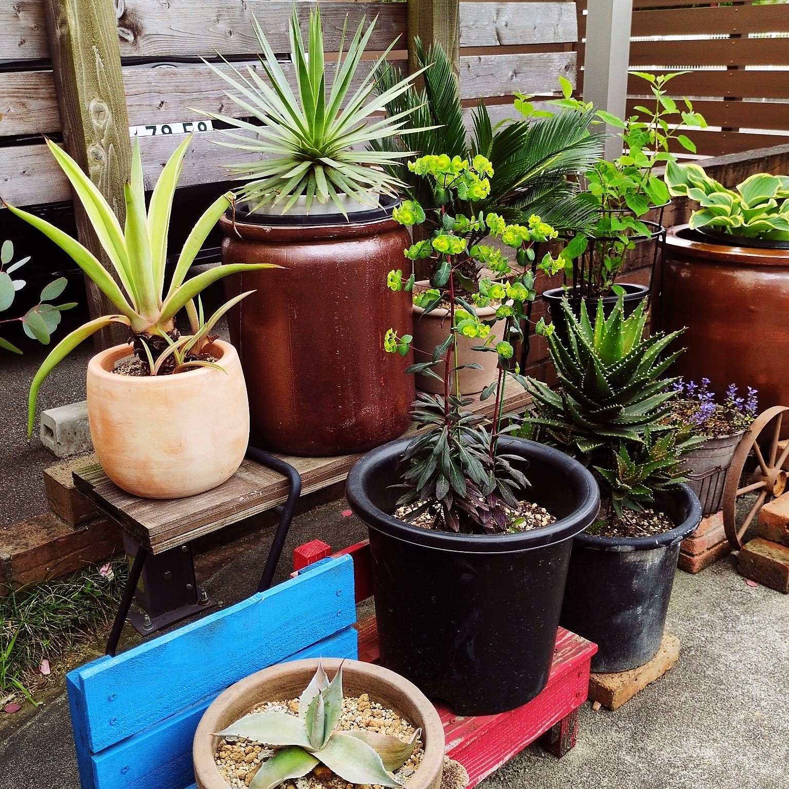 c72d1e2ee75b89691cf43e167b9445