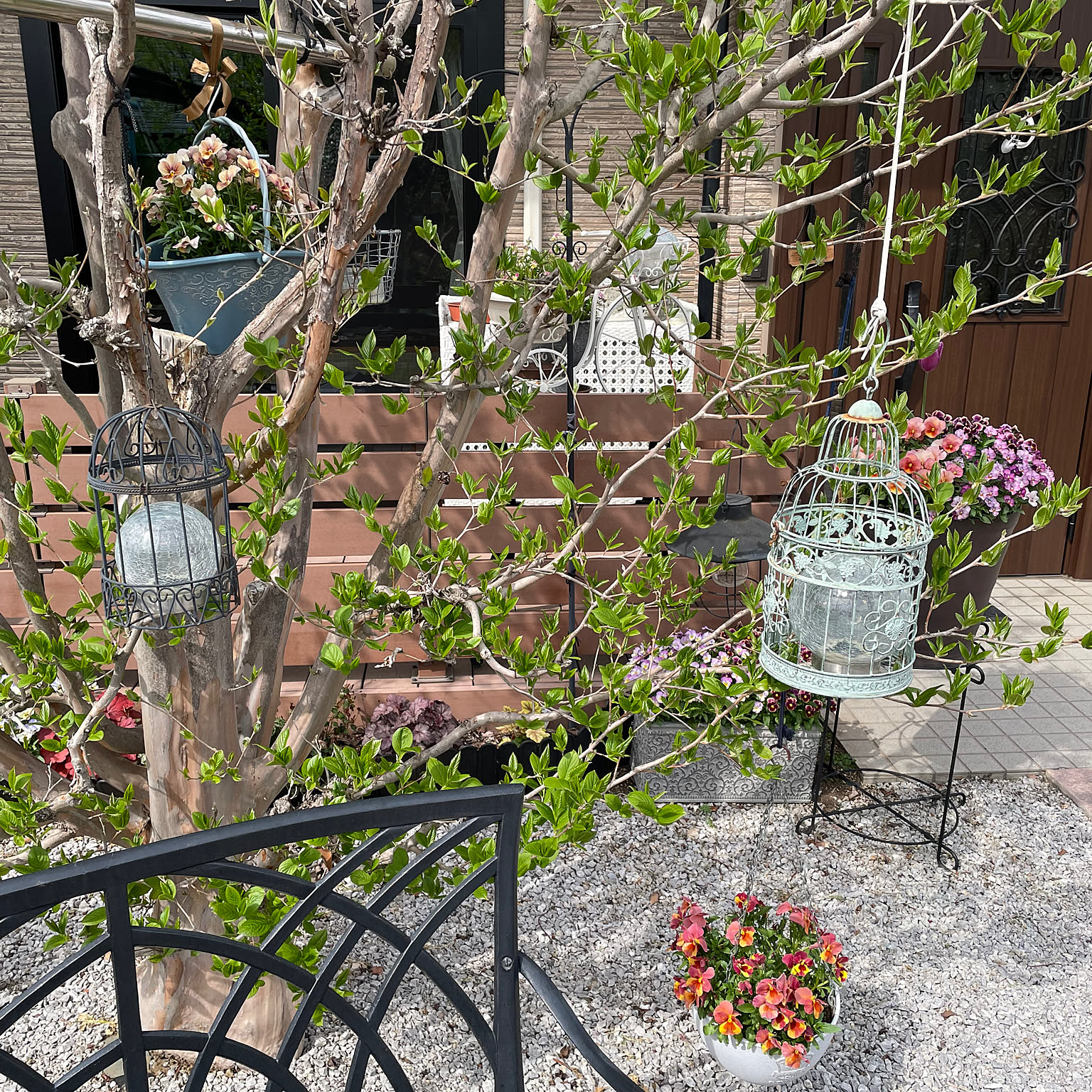 ガーデニング 鳥かごアレンジのおすすめ商品とおしゃれな実例