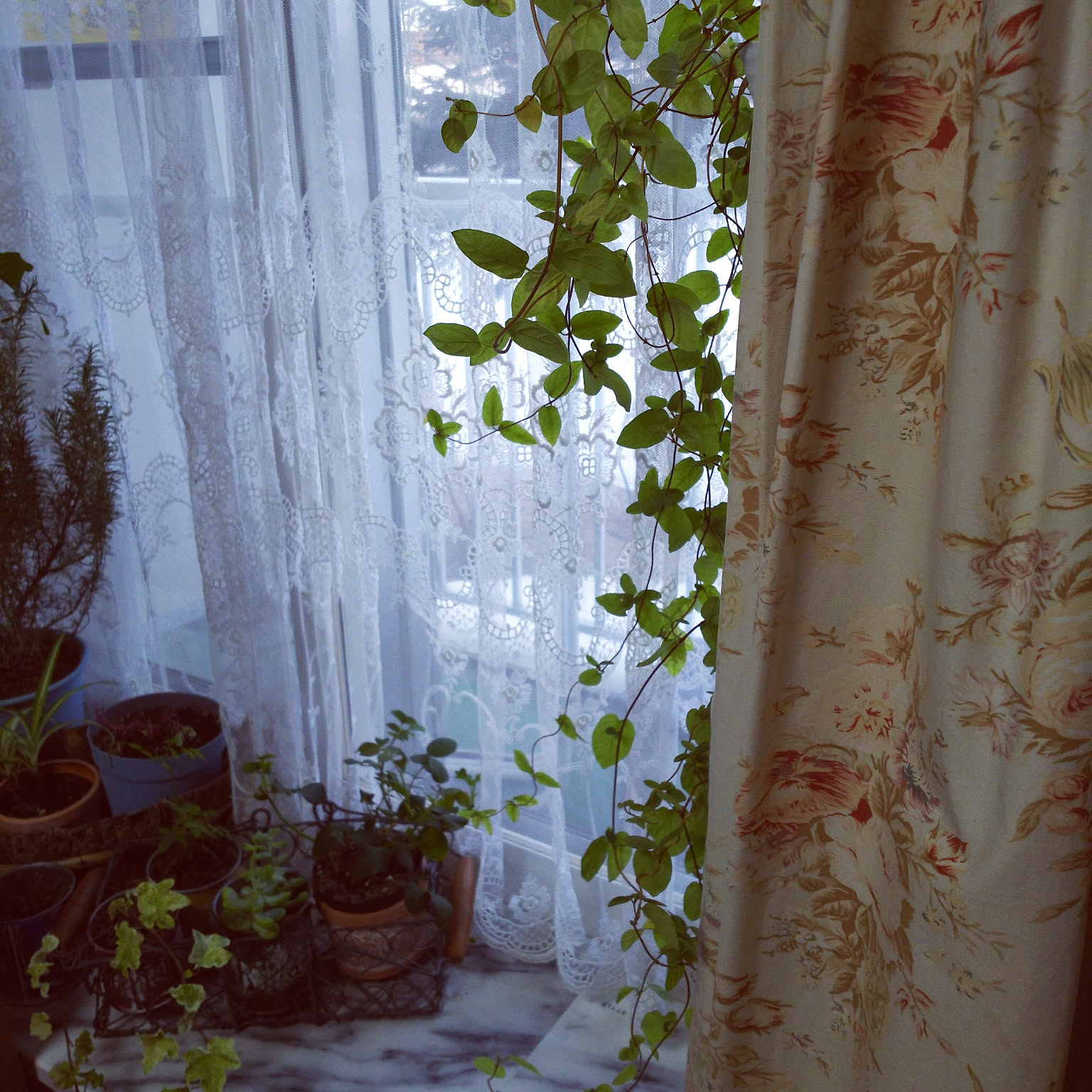 ラルフローレンのカーテンのおすすめ商品とおしゃれな実例 ｜ RoomClip