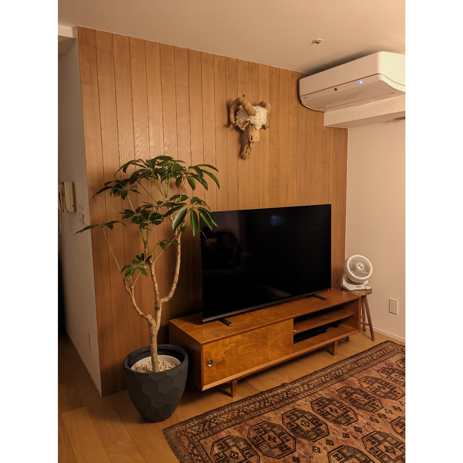 sb⭐テレビ台 観葉植物のディスプレイに c9a27f4f04dcbf041f3440513f9d8e