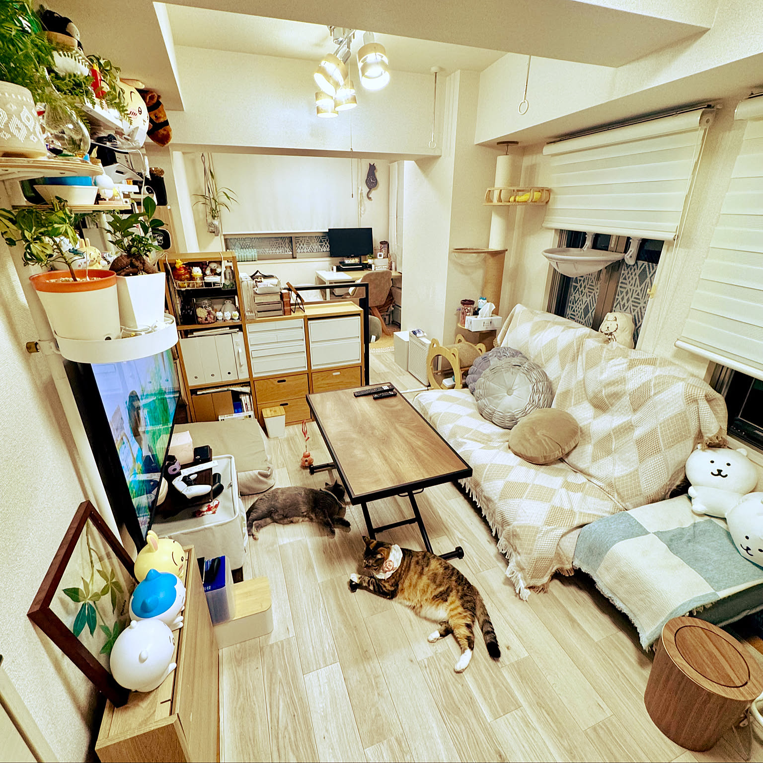 キャットタワー sumikaのおすすめ商品とおしゃれな実例 ｜ RoomClip