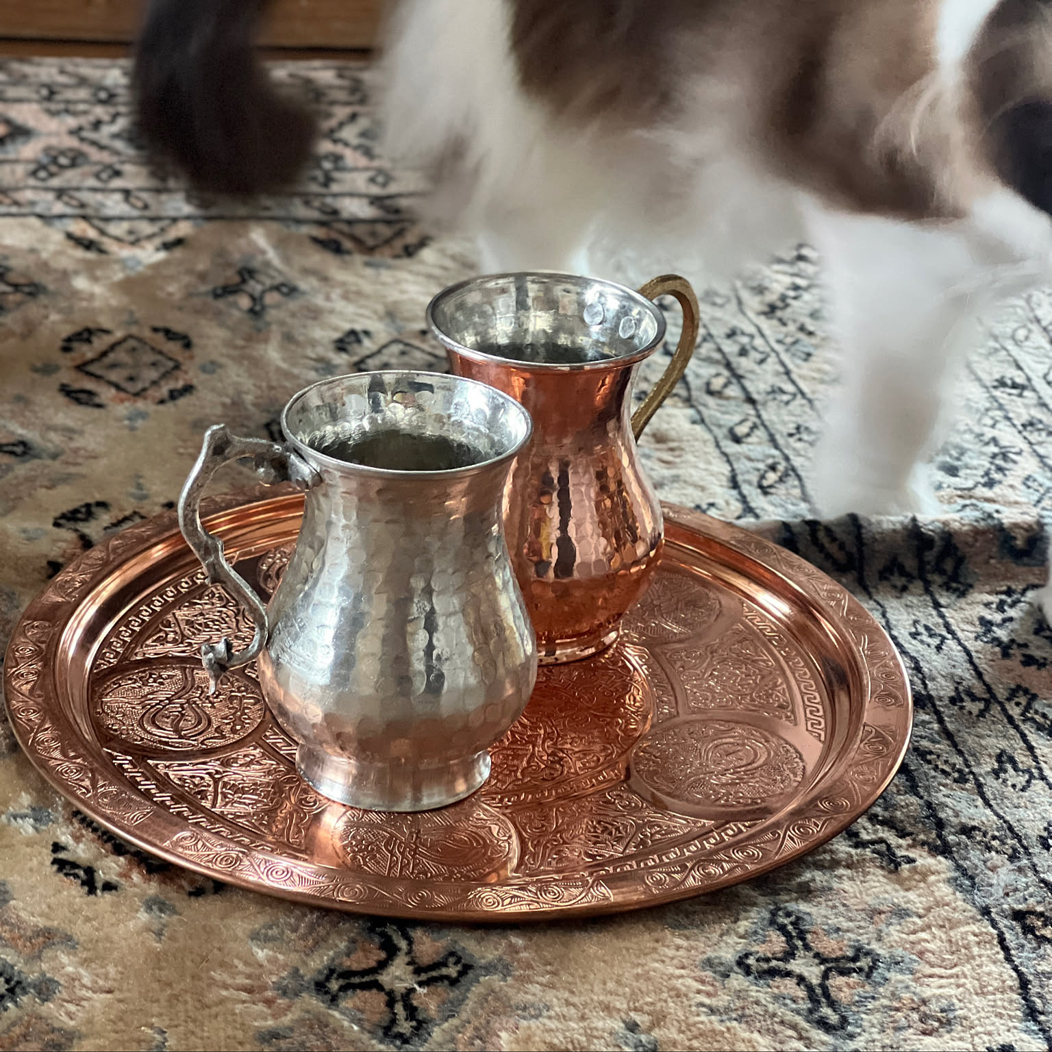 c9d40cd2f623855899a6d9ad63358b