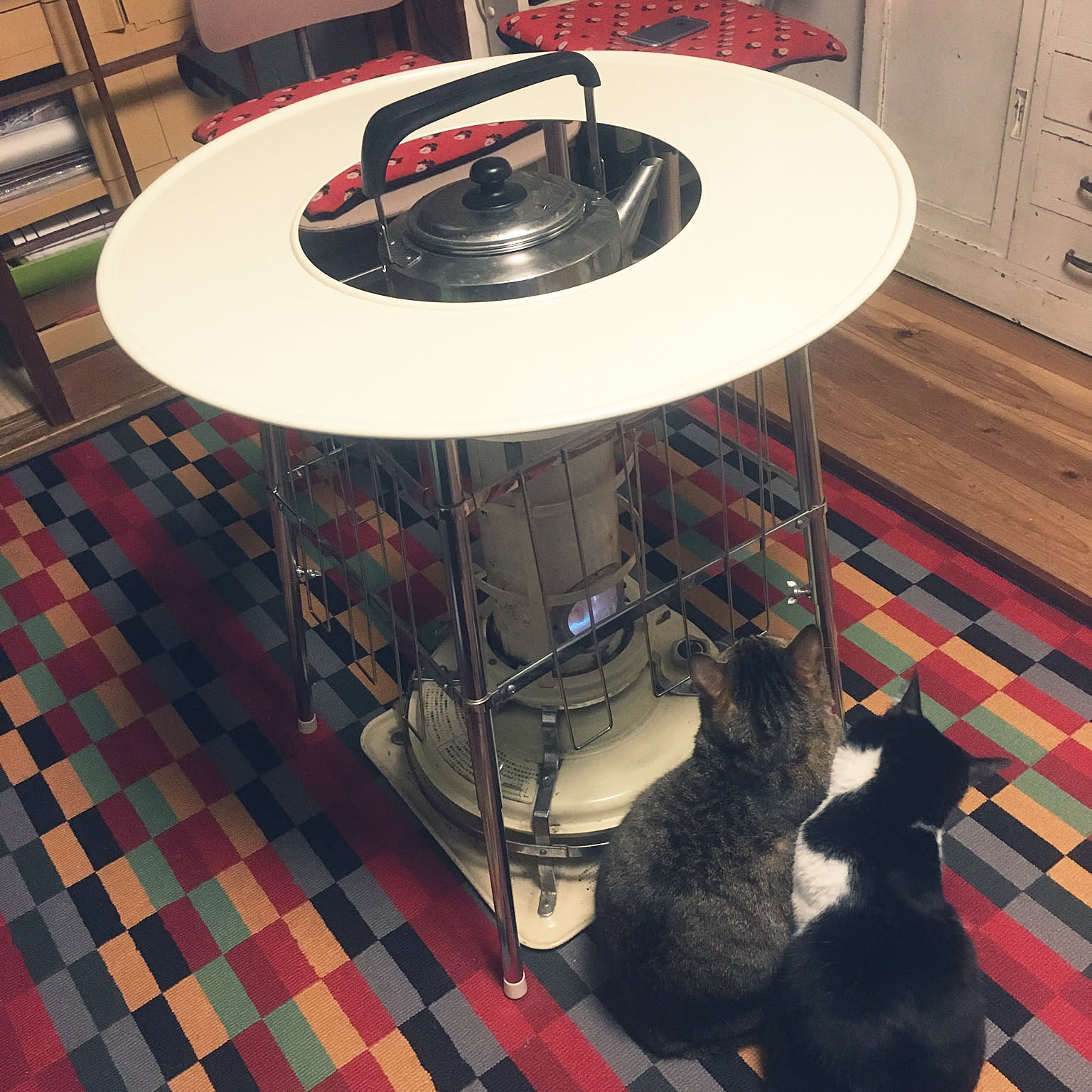 キッチン/猫との暮らし/昭和レトロな家/DIY/レトロのインテリア