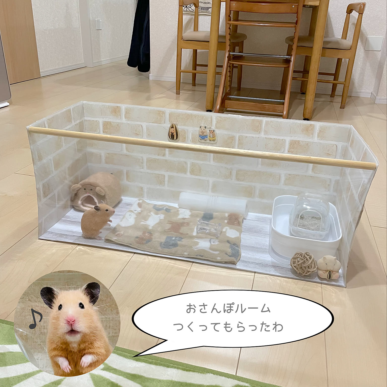 キンクマハムスター ハムスター飼ってます◡̈♥︎のインテリア実例