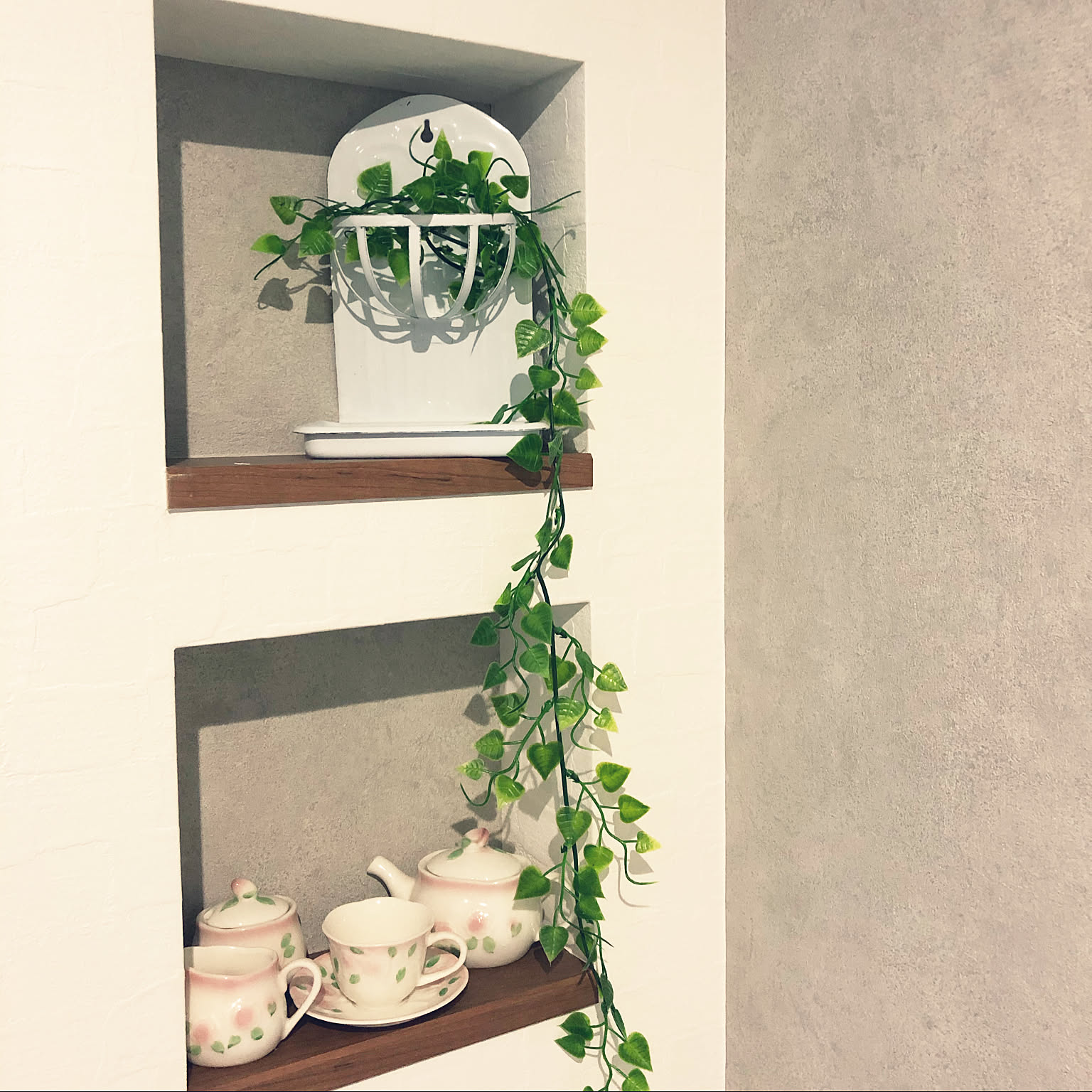 プチローズのインテリア実例 | RoomClip(ルームクリップ) プチローズのインテリア実例 | RoomClip(ルームクリップ)