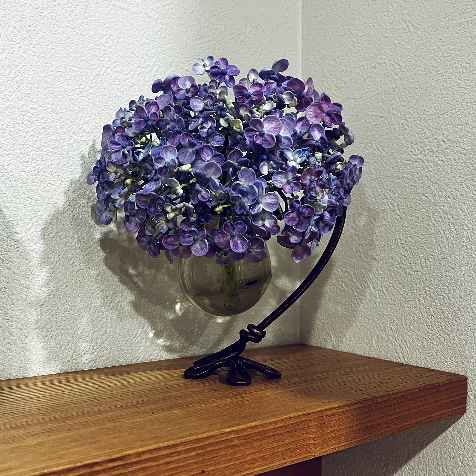 ポップコーン紫陽花のインテリア実例 ｜ RoomClip（ルームクリップ）