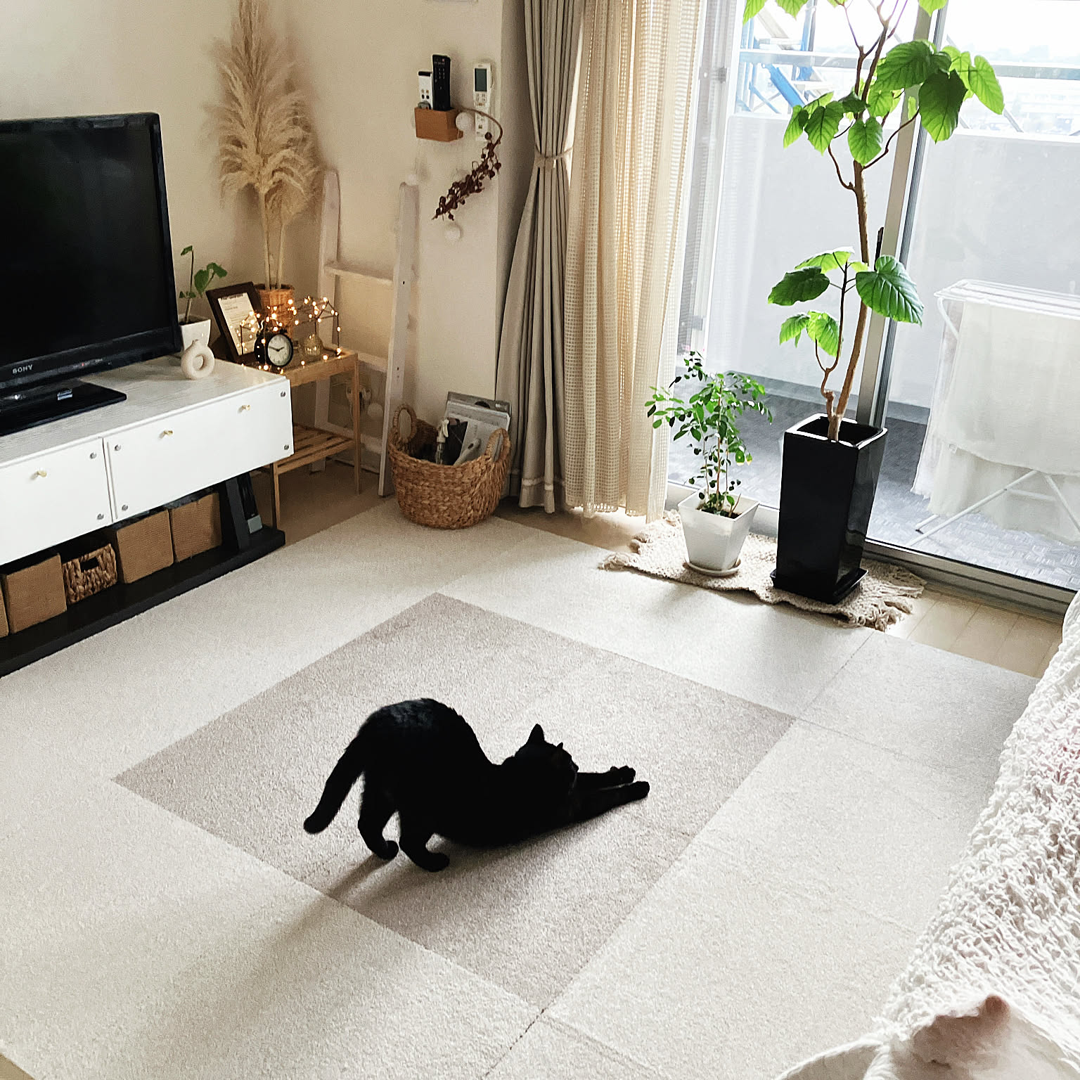たかなし　タイルカーペット　明るい緑無地　４５枚 楽天市場】【サンプル専用ページ】 サンゲツ タイルカーペット