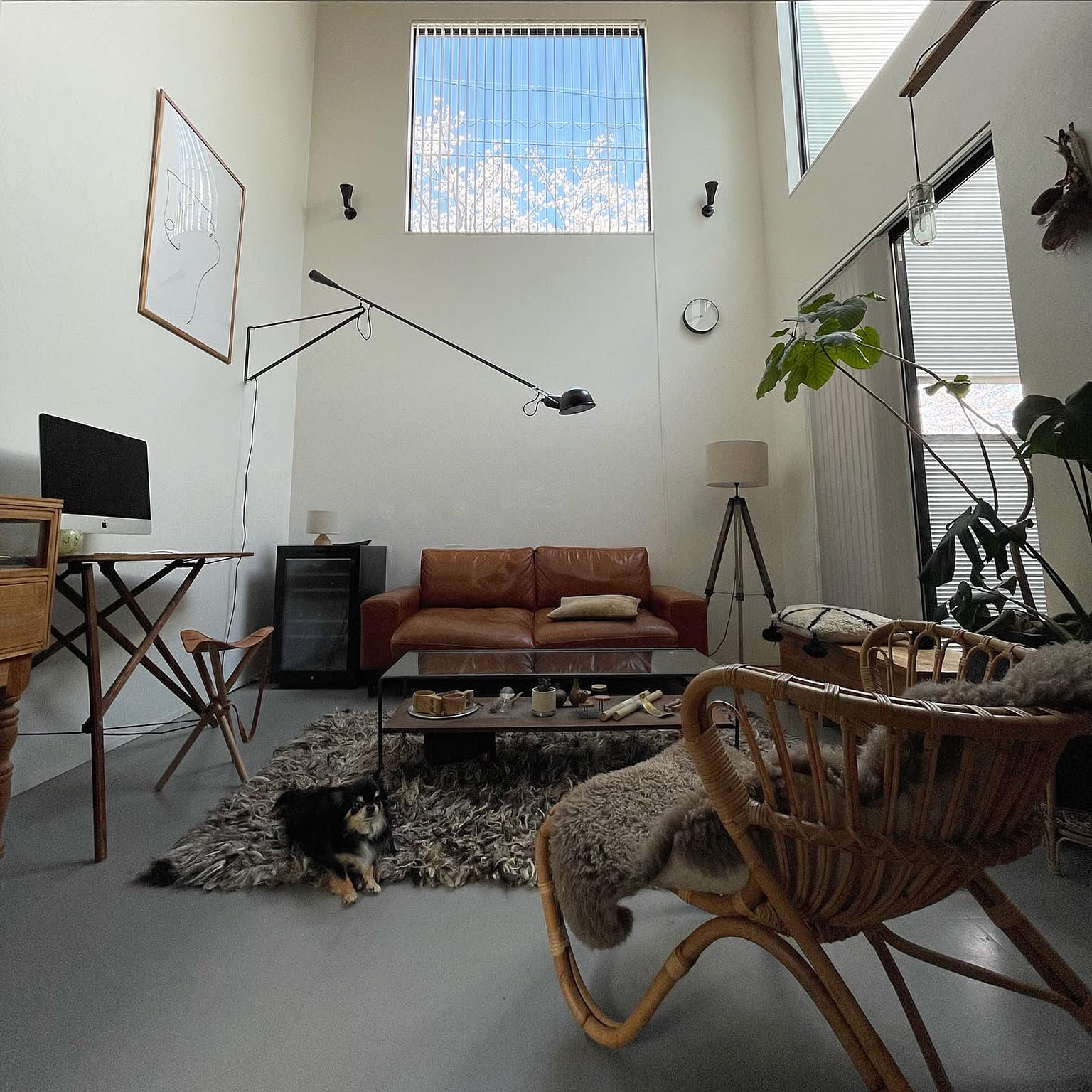 cc59712ca47b592e8cd6557f7b9531