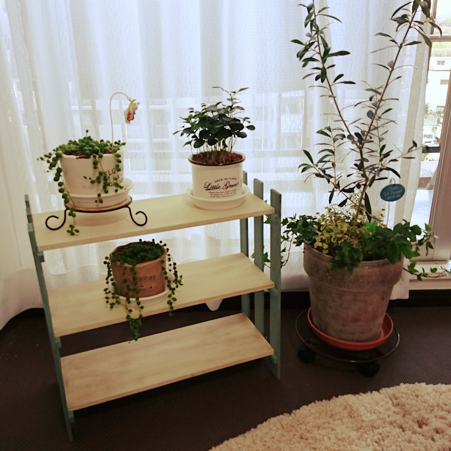 男前インテリアにぴったり！水受けトレー付き植物棚で快適な植物
